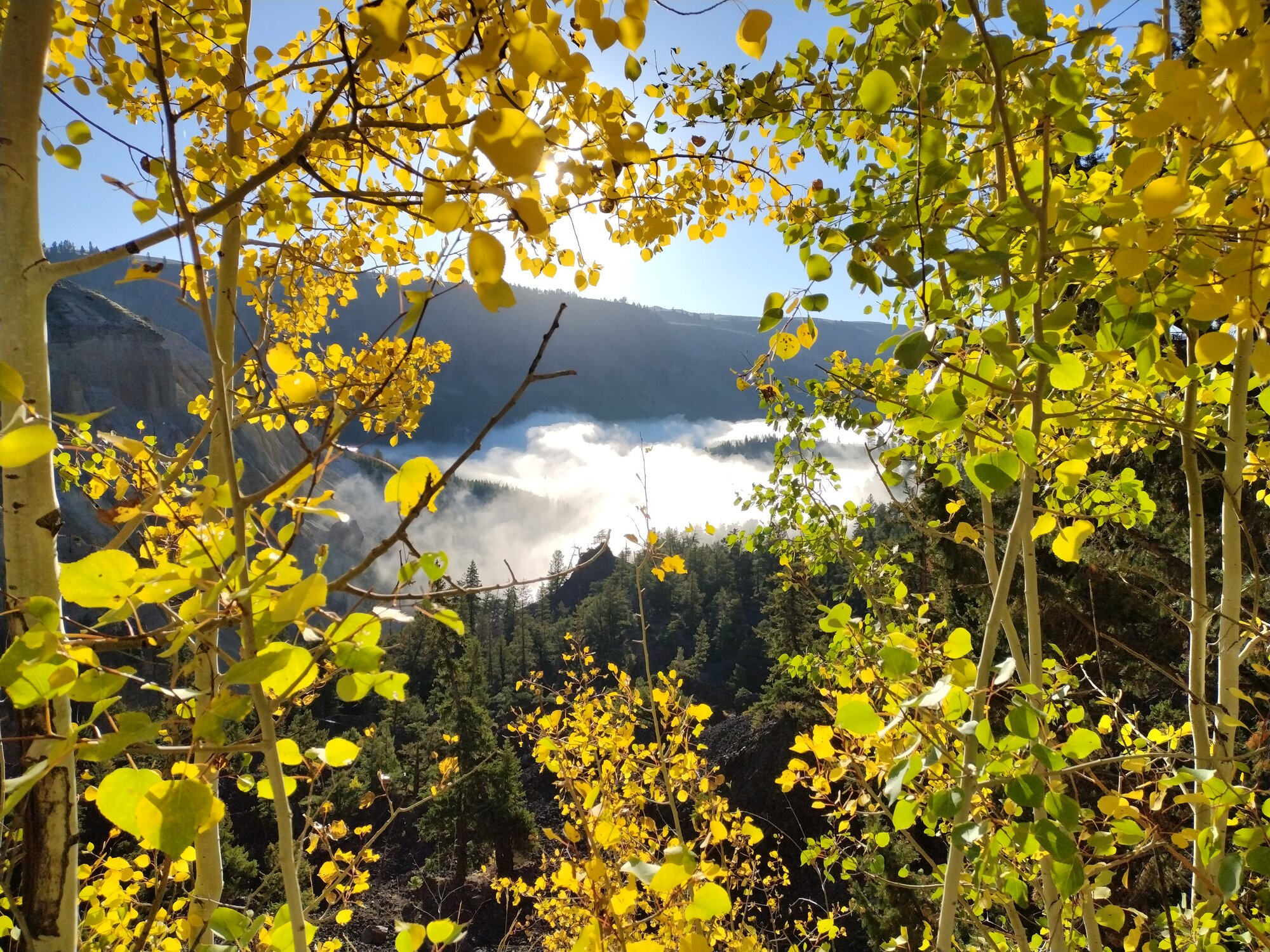 Fall Fun Photo Contest 27.jpg