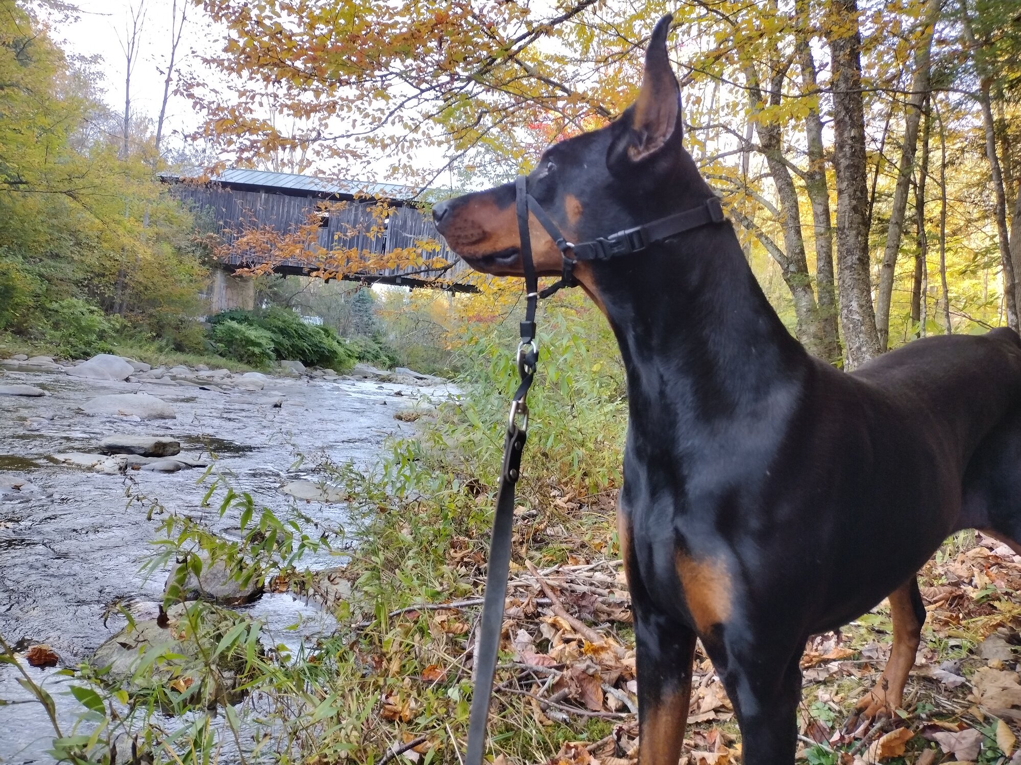 Fall Fun Photo Contest 28.jpg