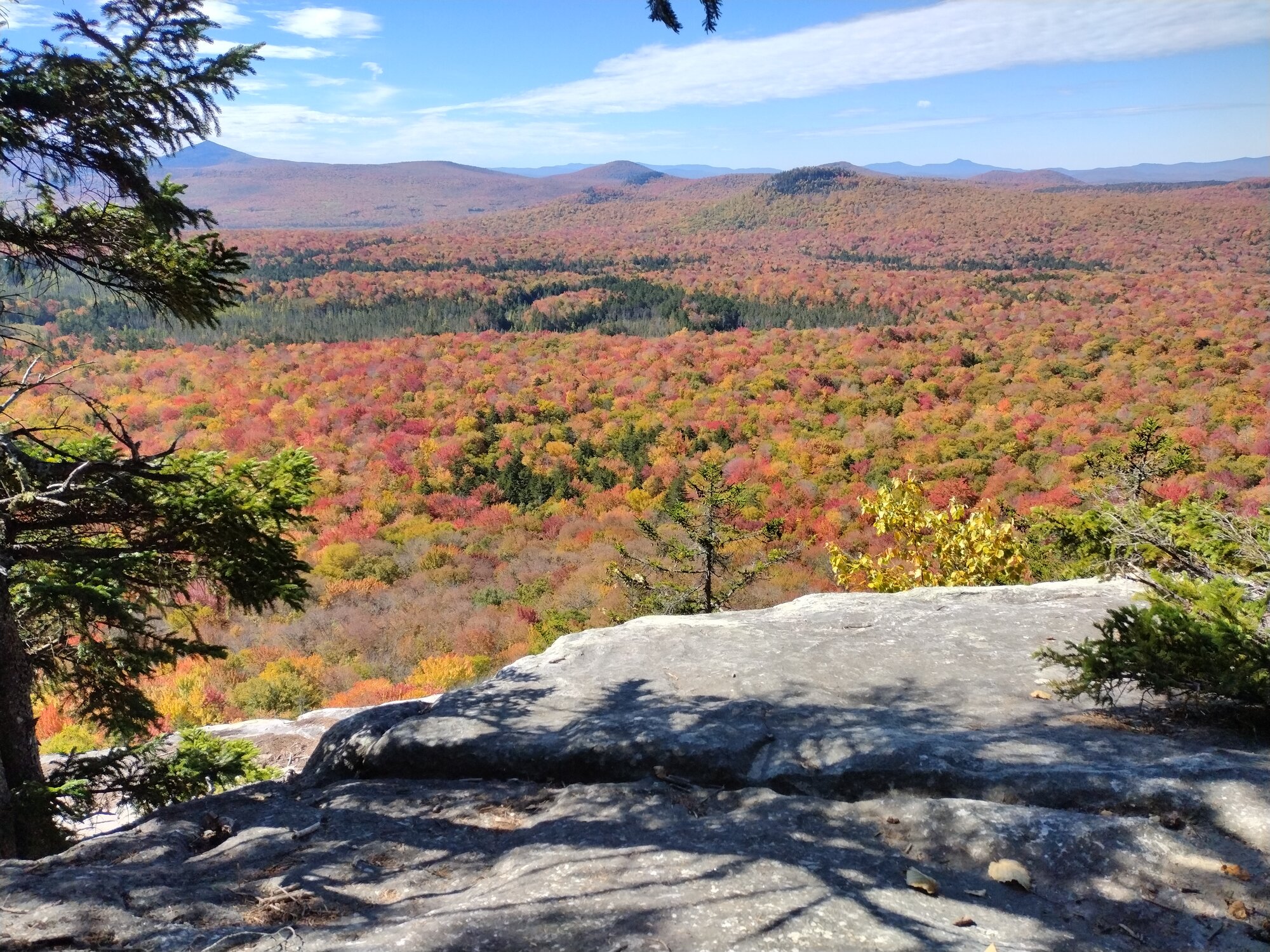 Fall Fun Photo Contest 29.jpg