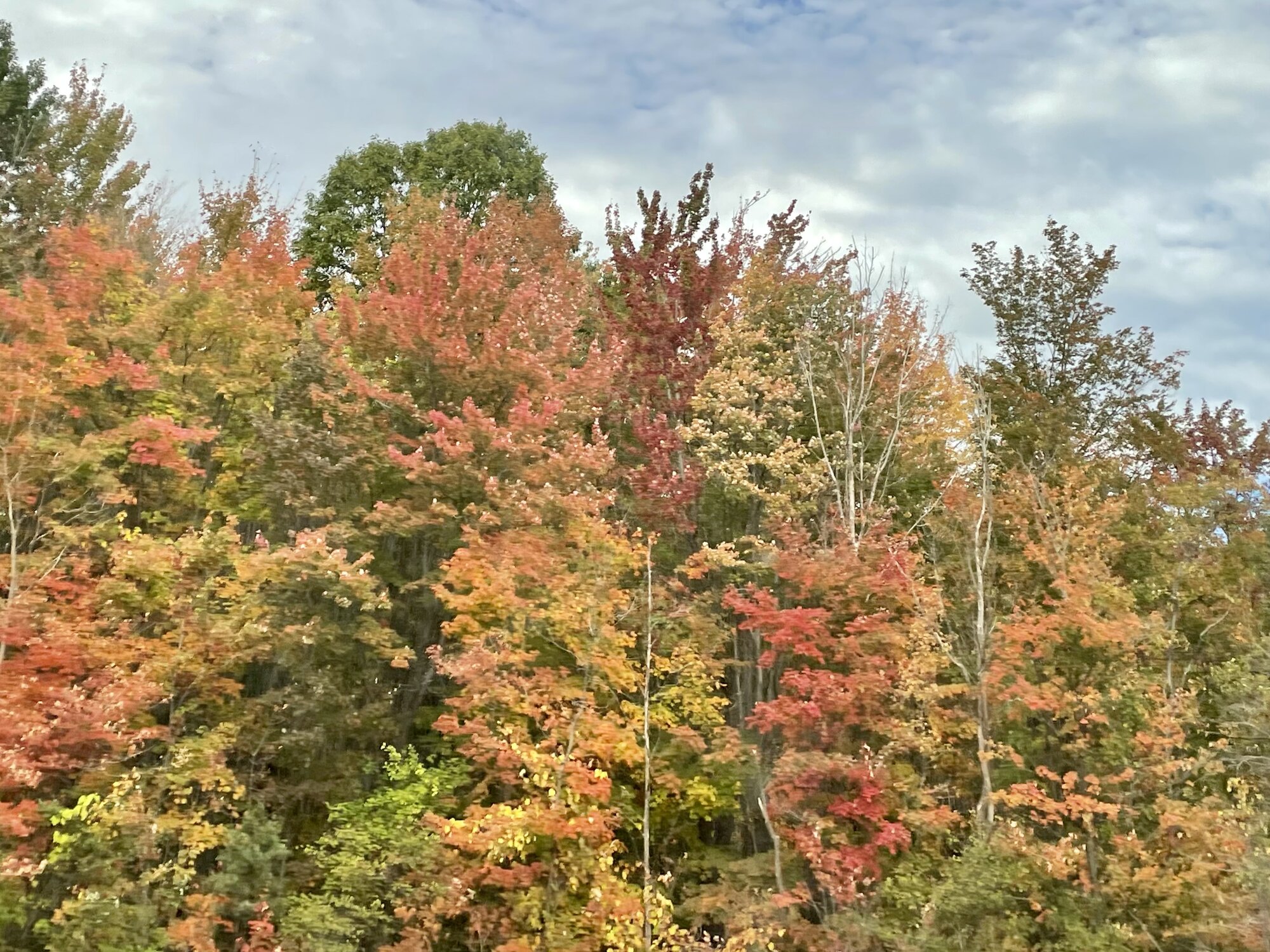 Fall Fun Photo Contest 32.jpg