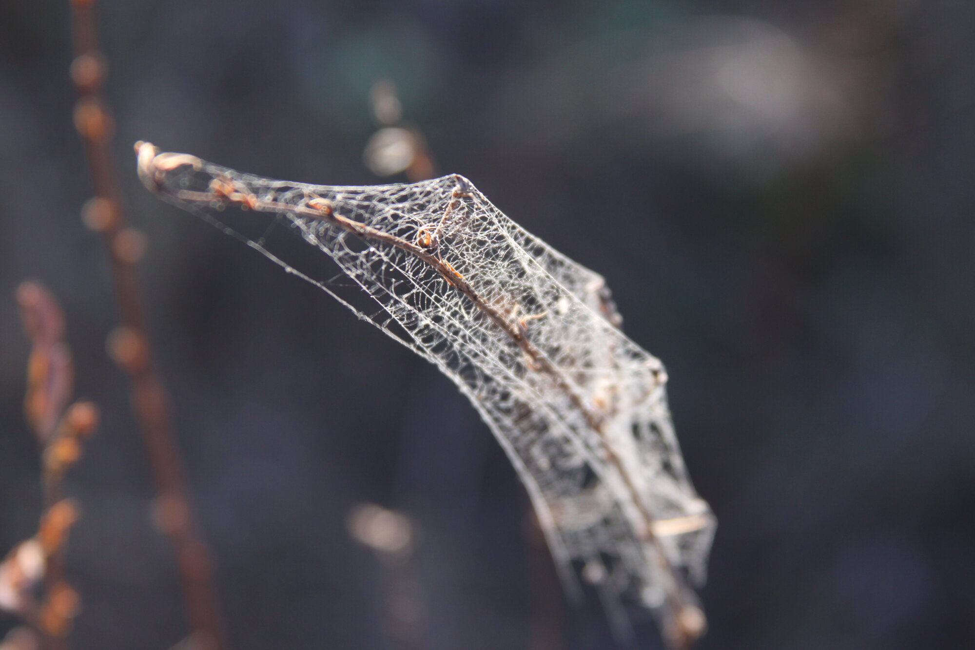 Fall Fun Photo Contest 37.jpg