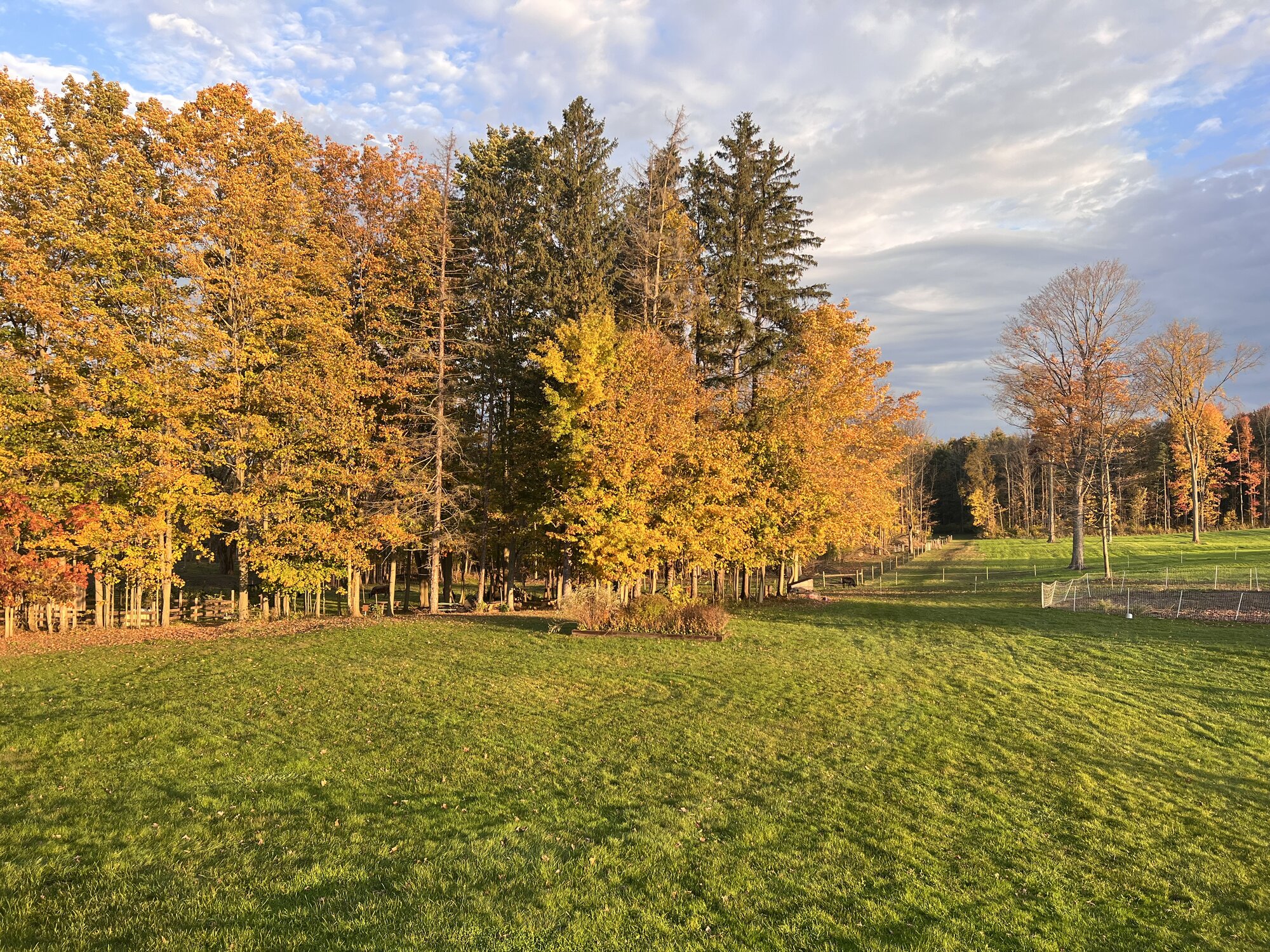 Fall Fun Photo Contest 39.jpg