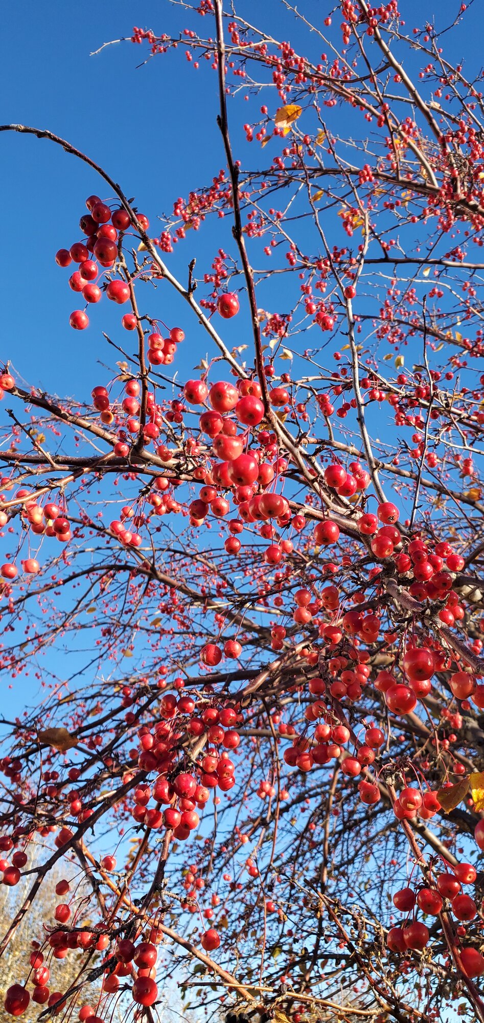 Fall Fun Photo Contest 44.jpg
