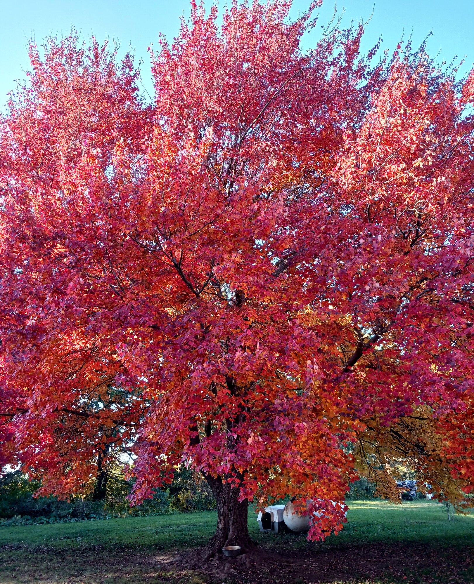 Fall Fun Photo Contest 45.jpg