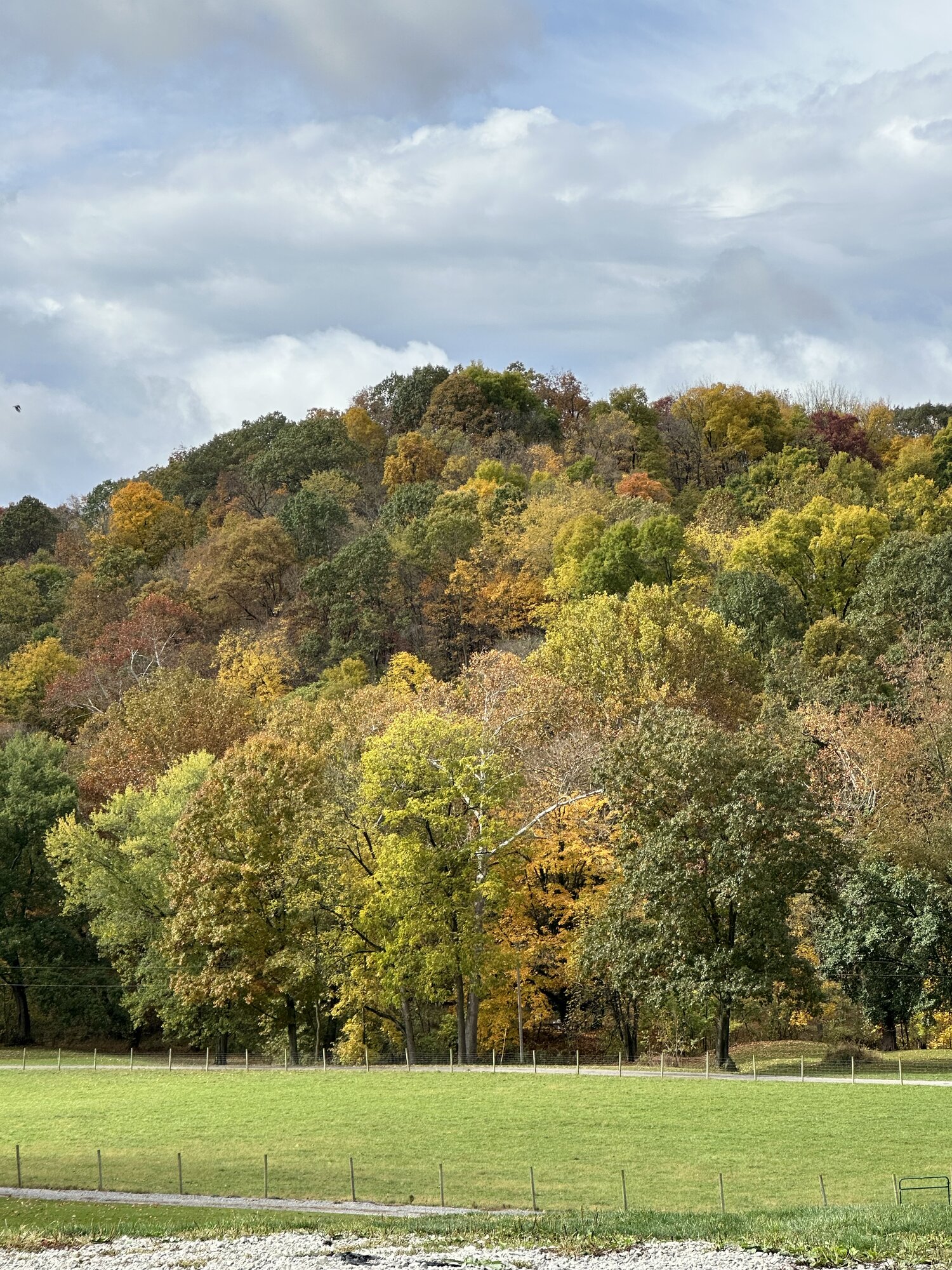 Fall Fun Photo Contest 48.jpg