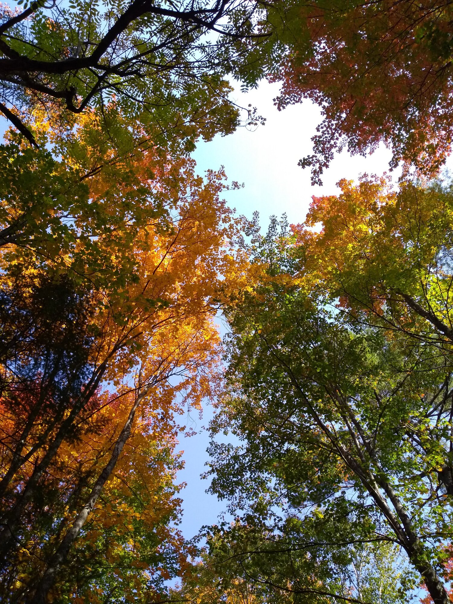 Fall Fun Photo Contest 49.jpg