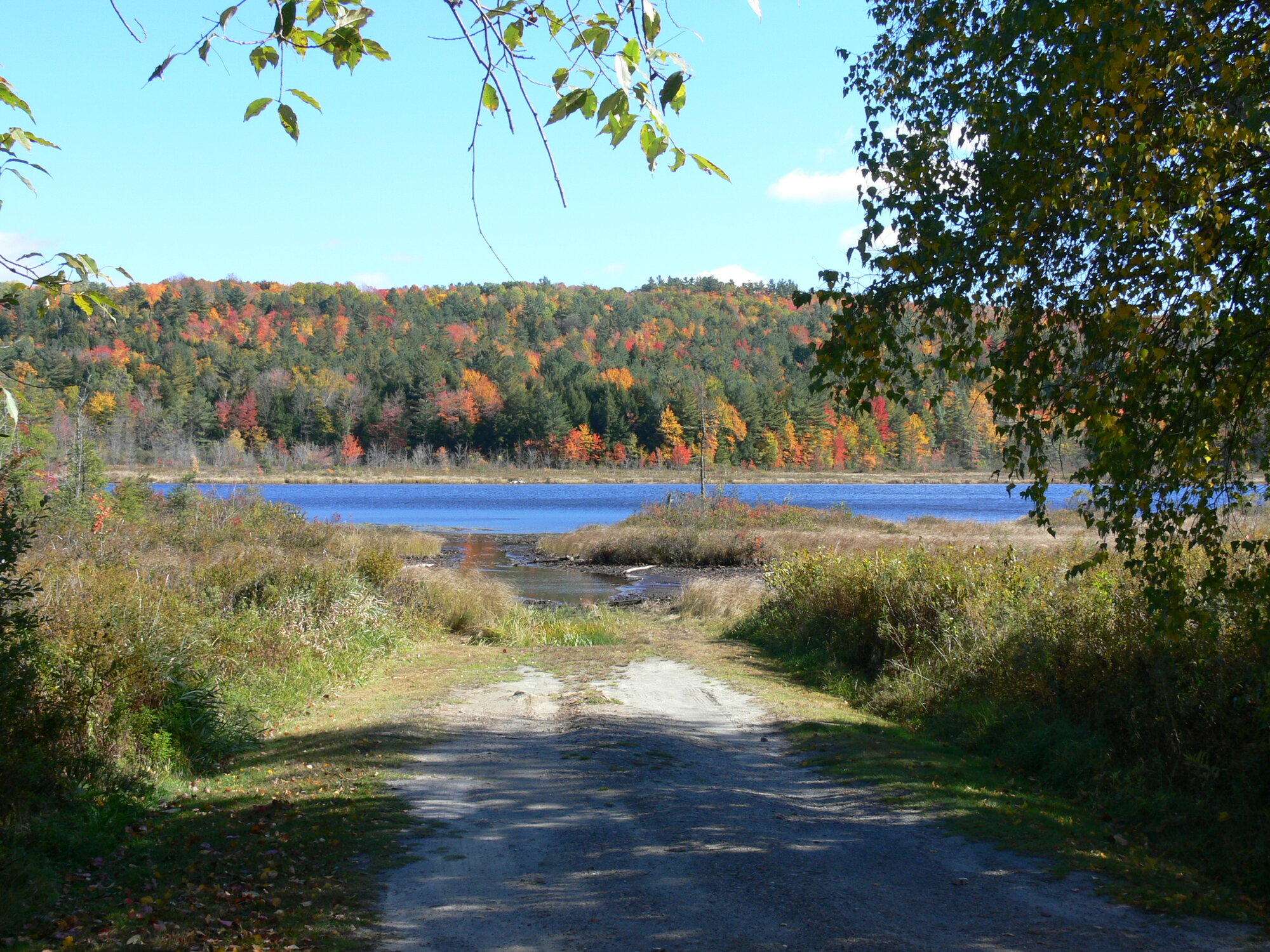 Fall Fun Photo Contest 50.jpg