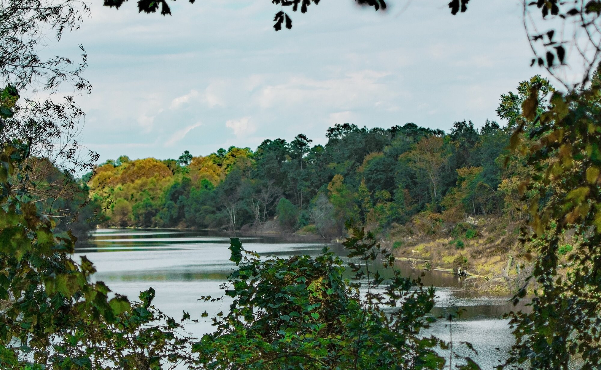 Fall Fun Photo Contest 57.jpg
