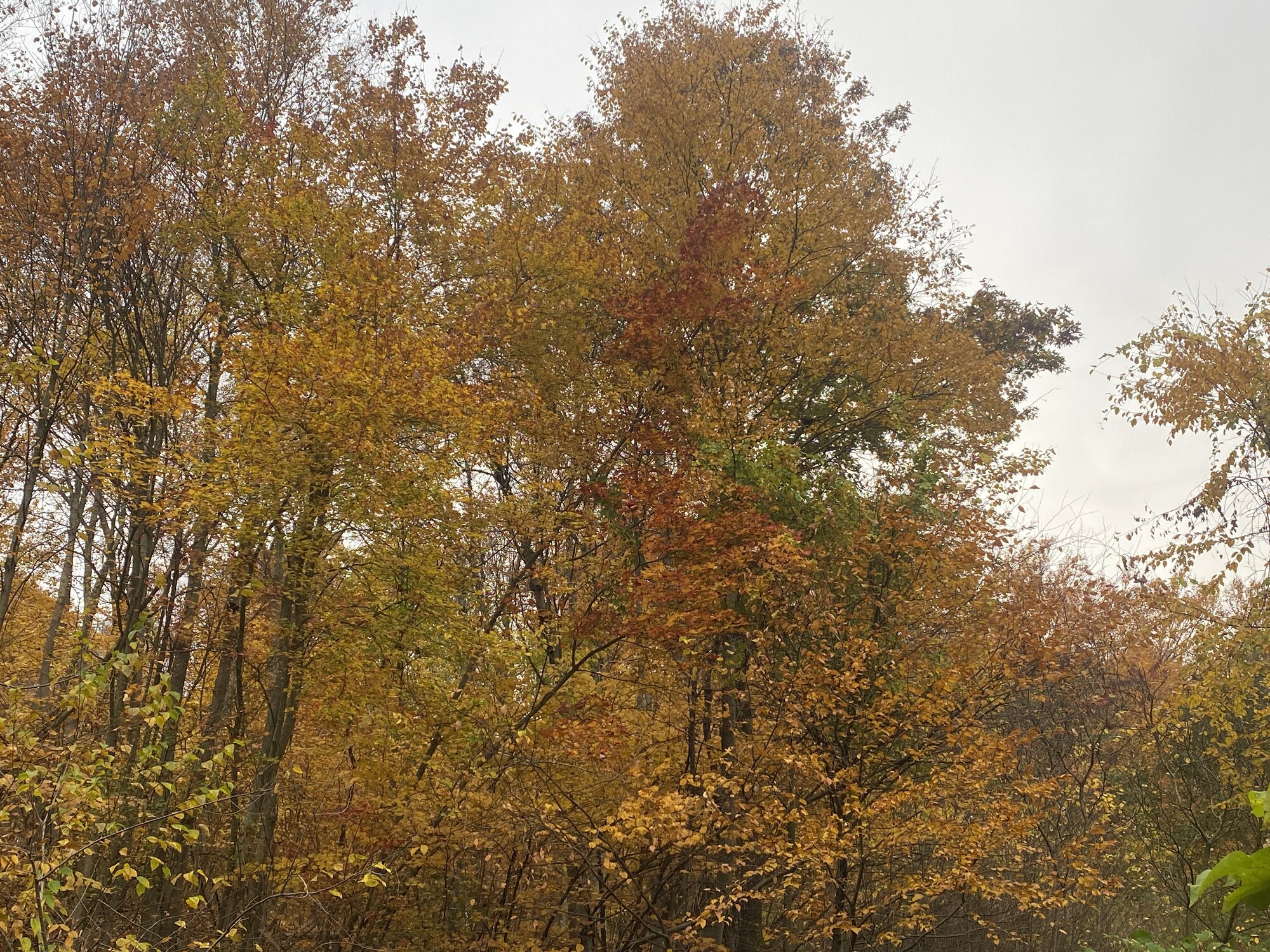 Fall Fun Photo Contest 60.jpg