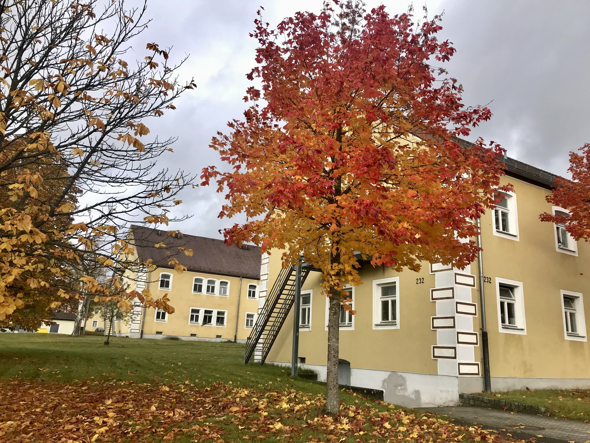 Fall Fun Photo Contest 62.jpg