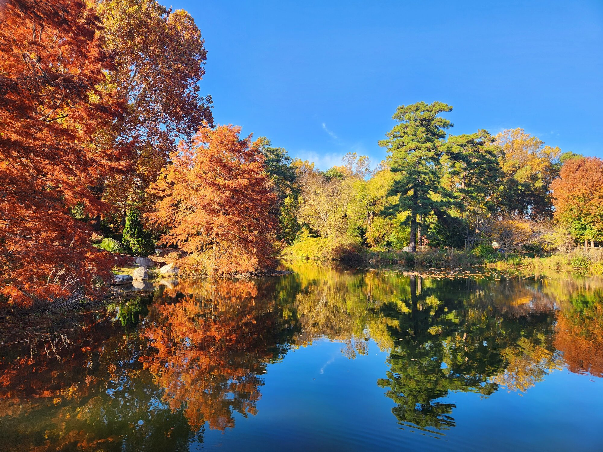 Fall Fun Photo Contest 63.jpg