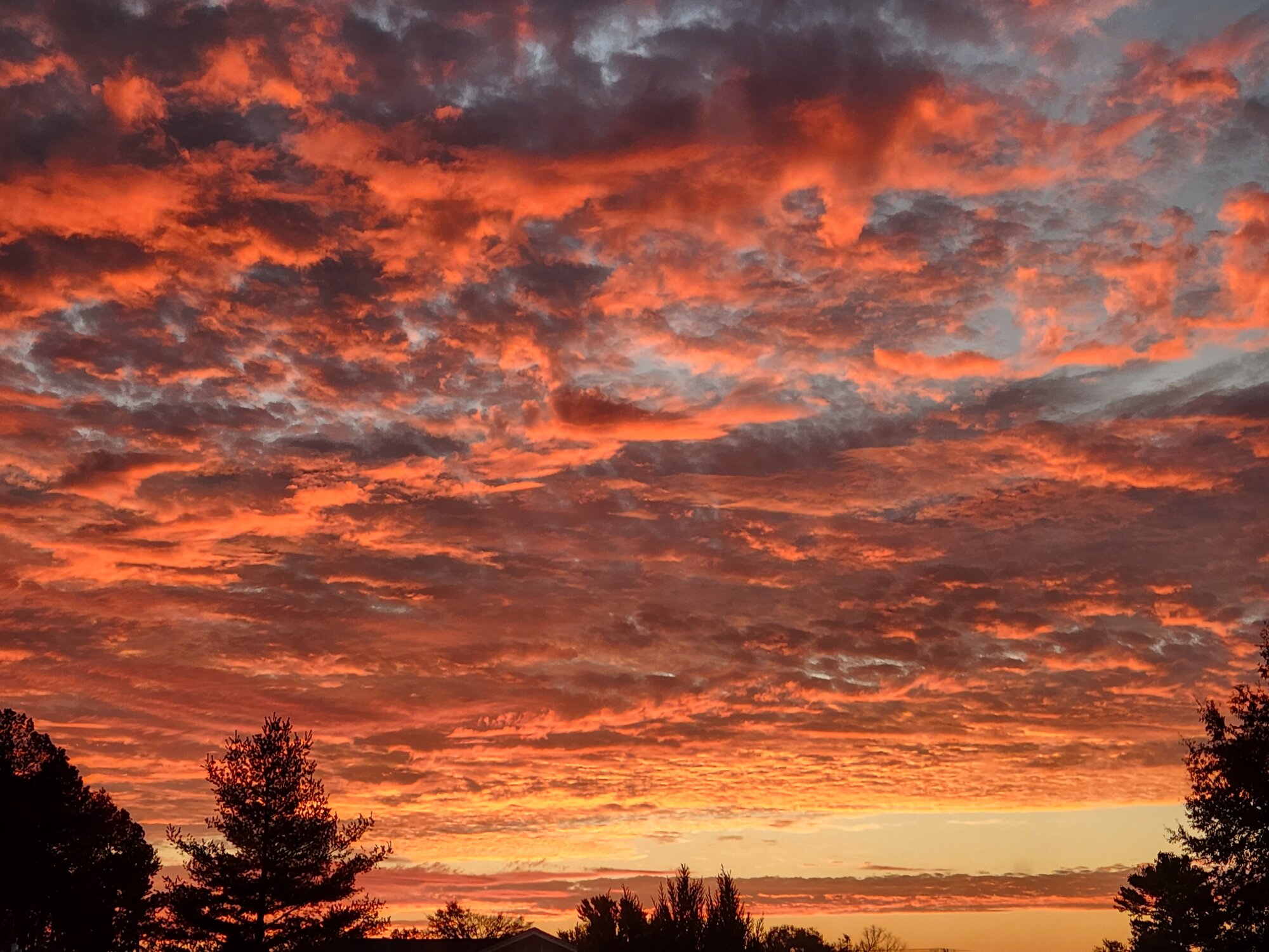 Fall Fun Photo Contest 64.jpg