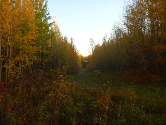 Fall Fun Photo Contest 7.jpg
