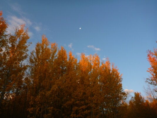 Fall Fun Photo Contest 8.jpg