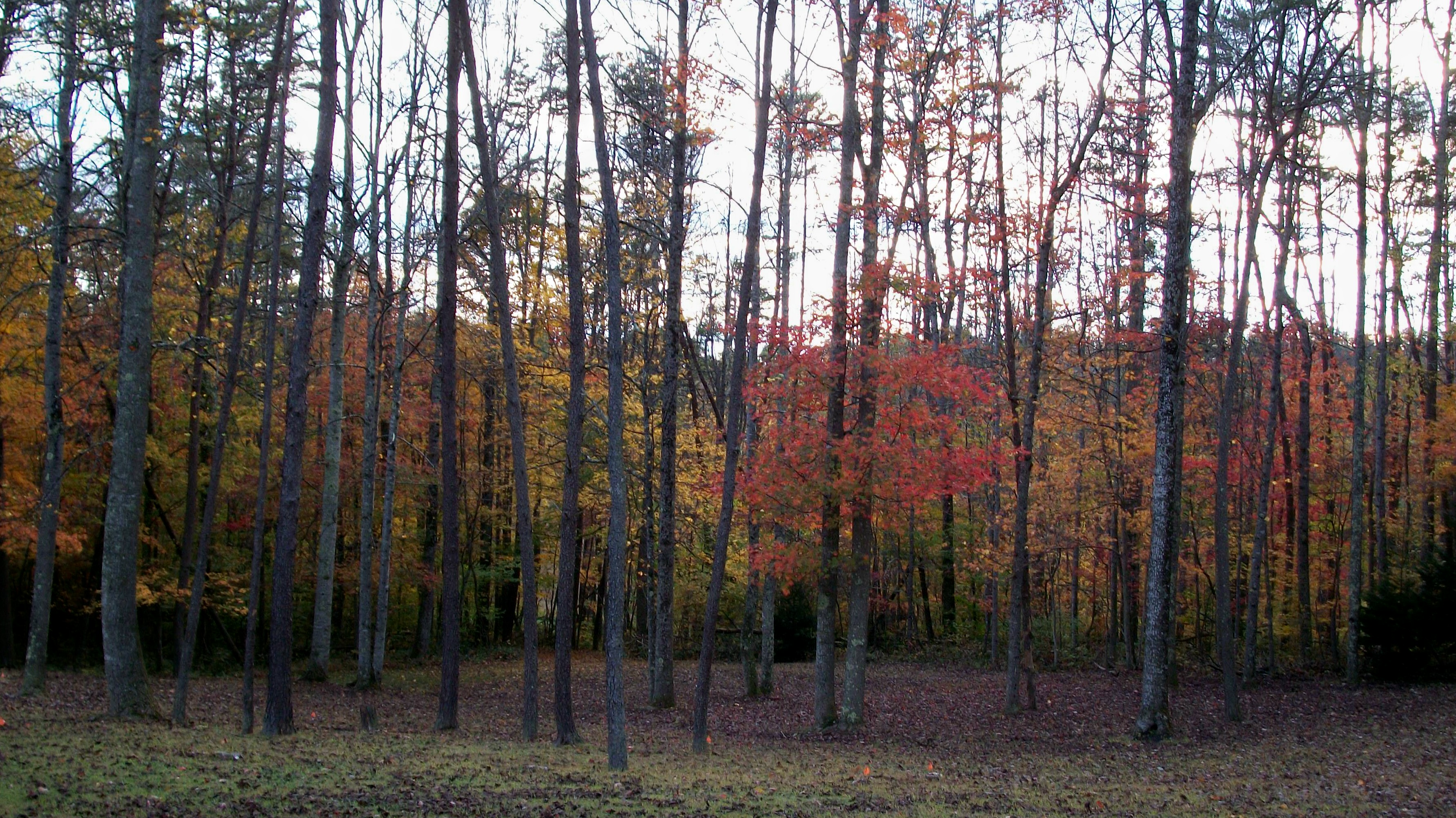 Fall lingers on...