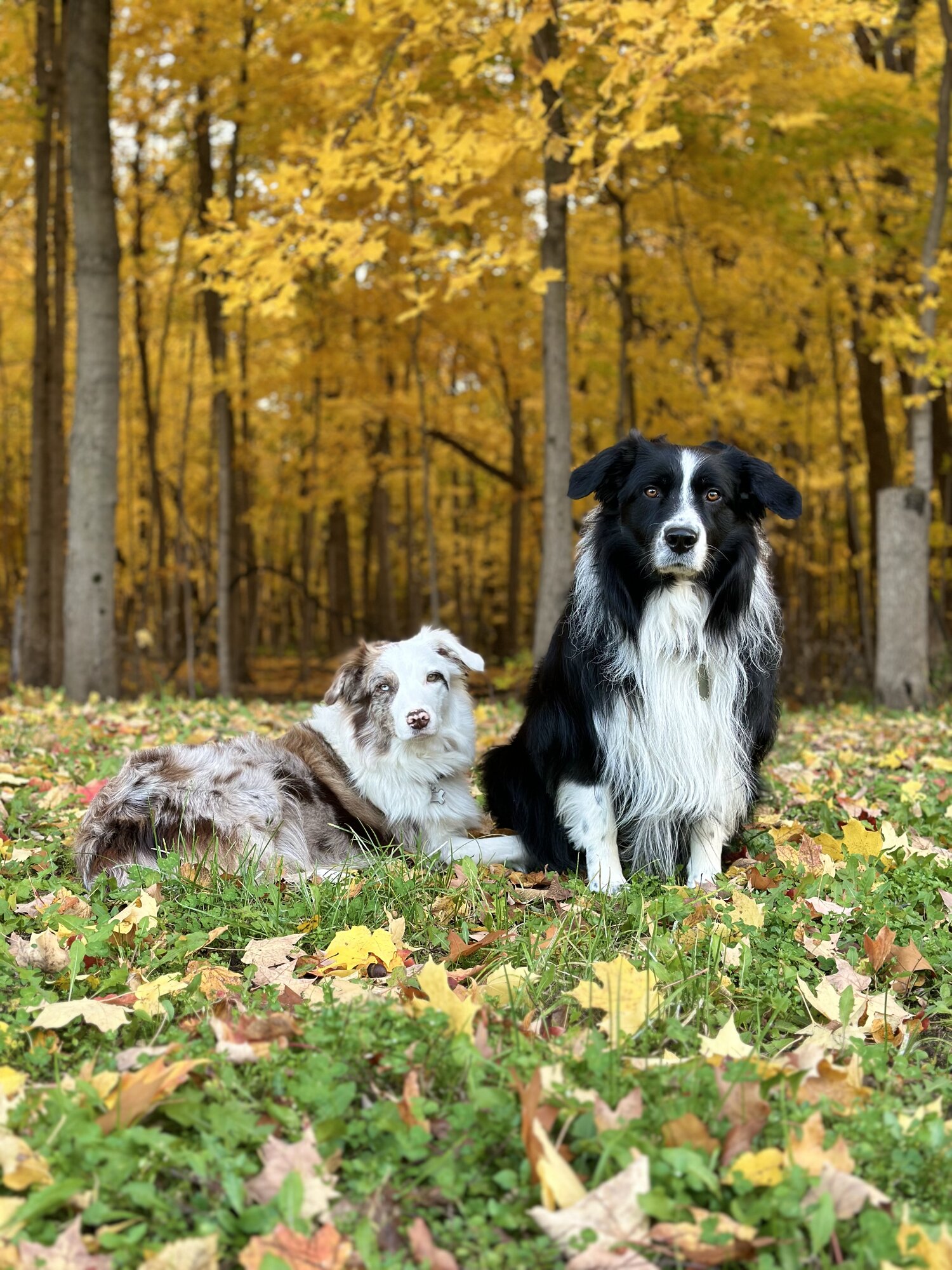Fall on the Farm Photo Contest 15.jpg