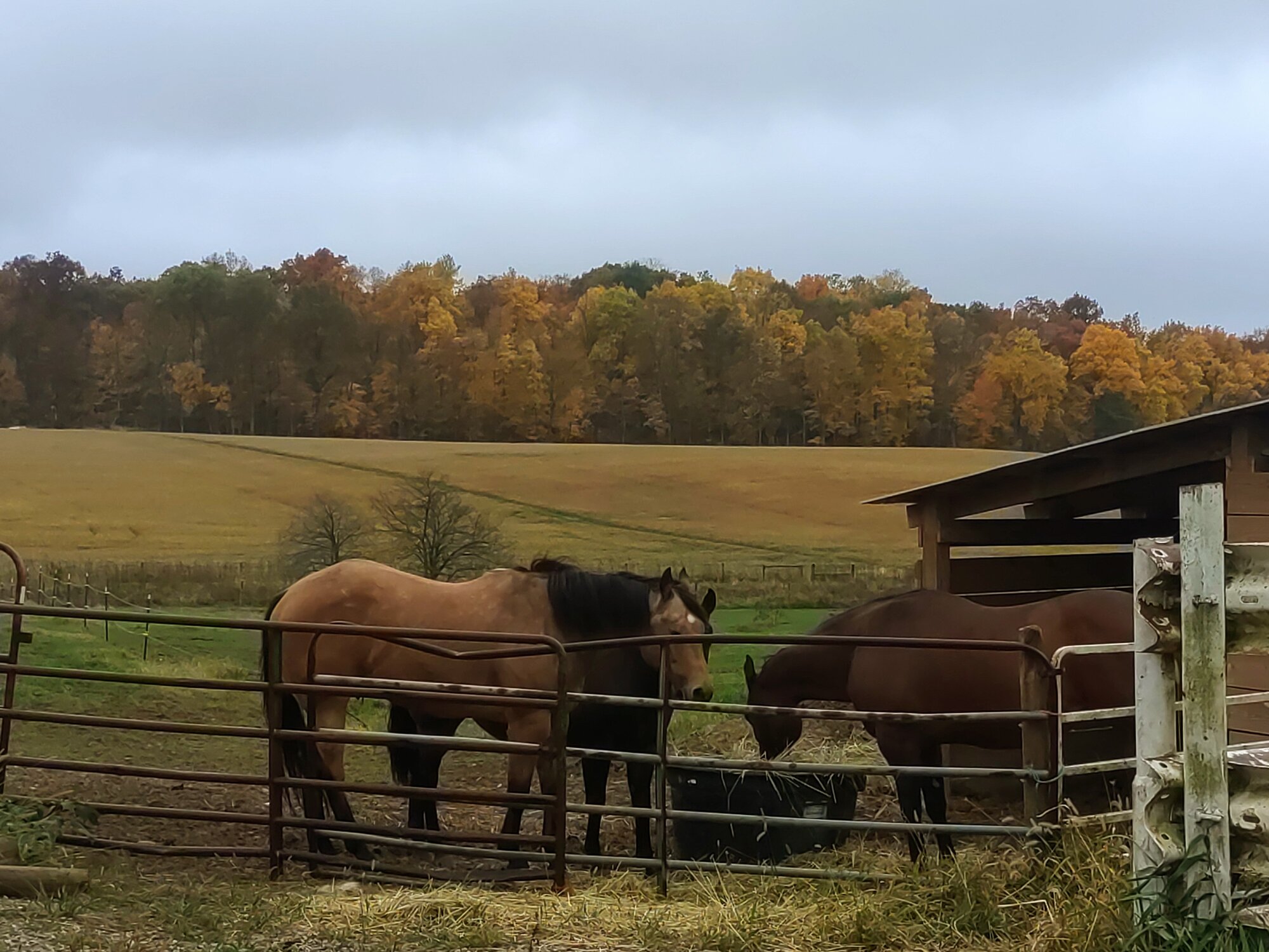 Fall on the Farm Photo Contest 26.jpg