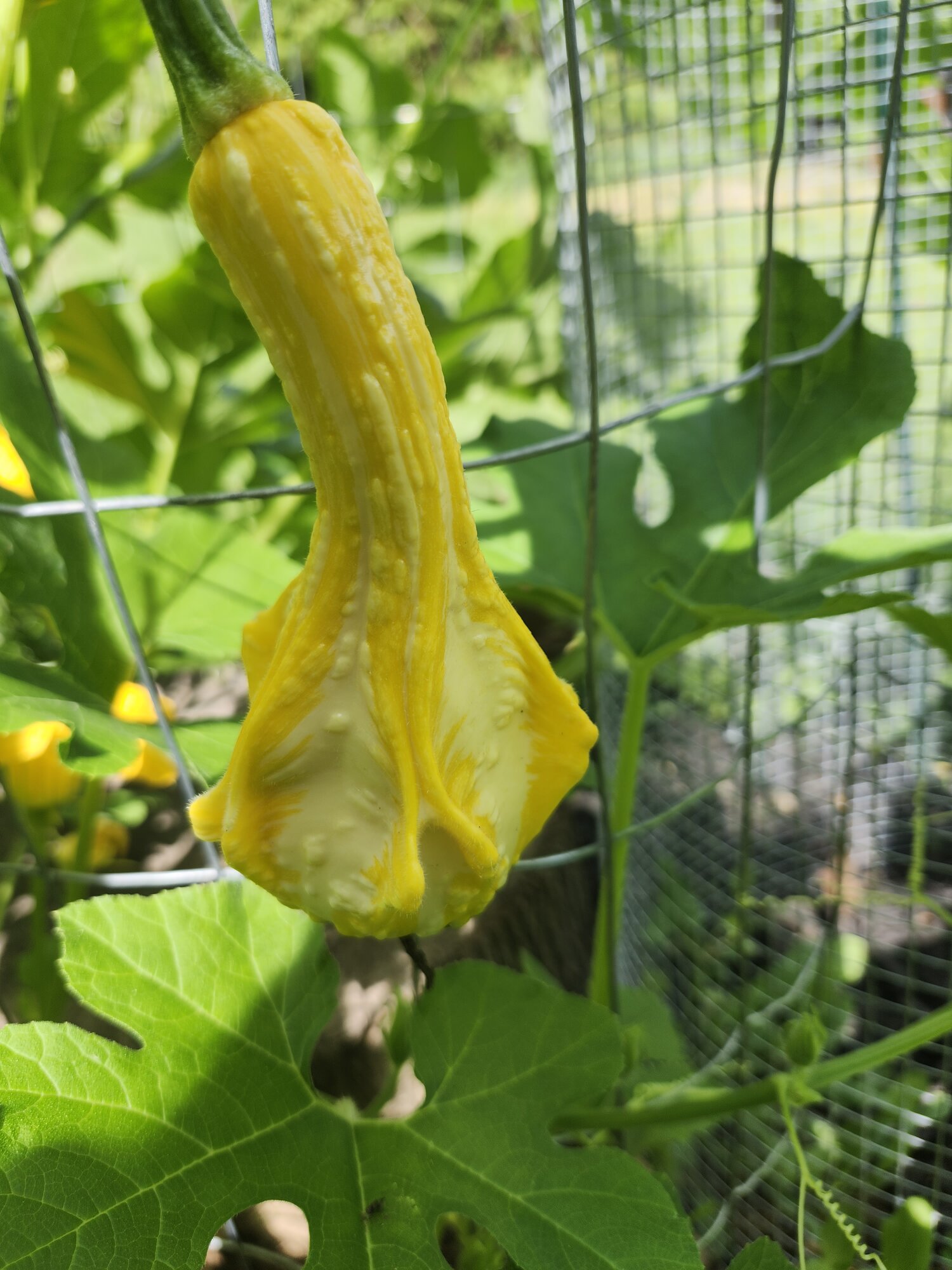 Fantastic Fall Fun 1.jpg