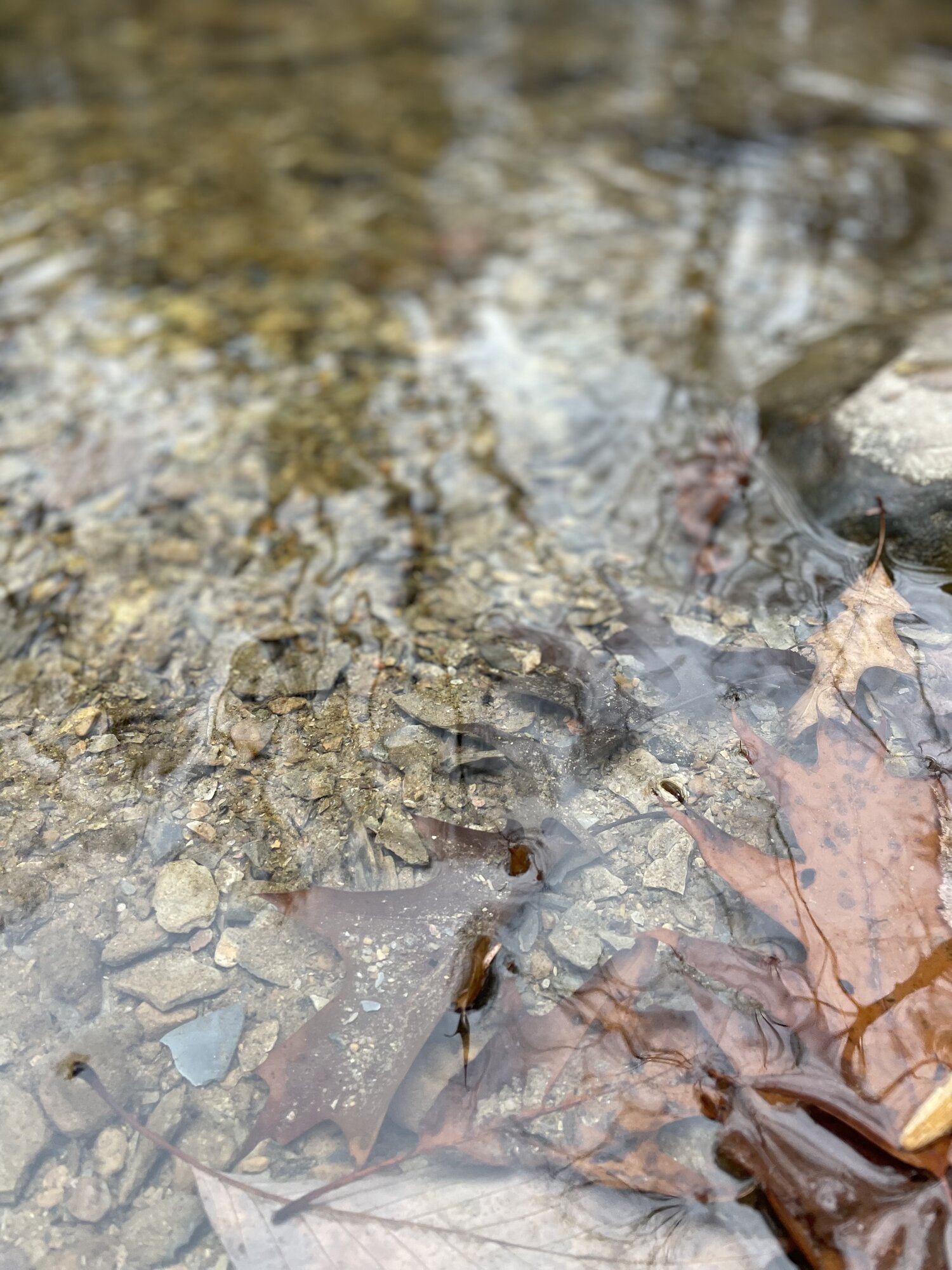 Fantastic Fall Fun 12.jpg