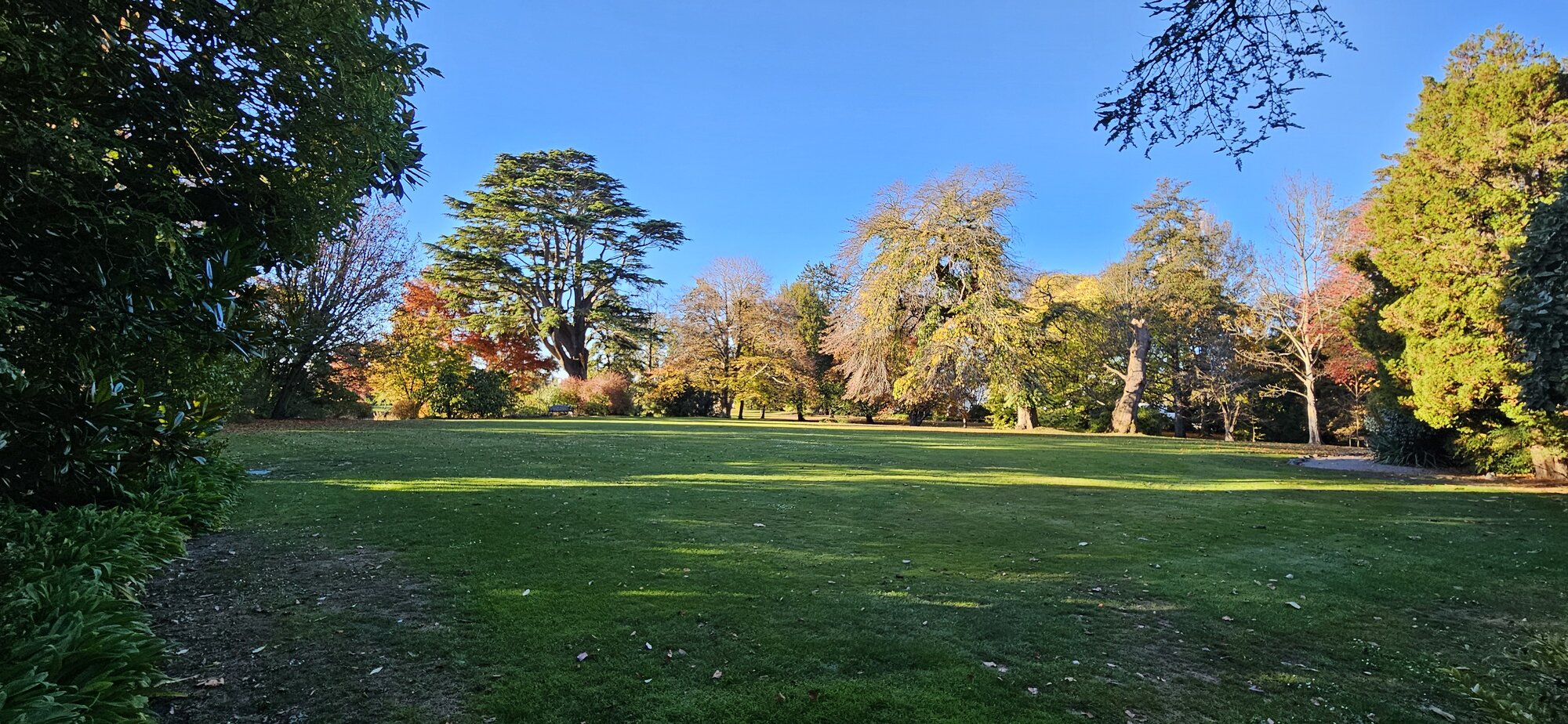 Fantastic Fall Fun 13.jpg