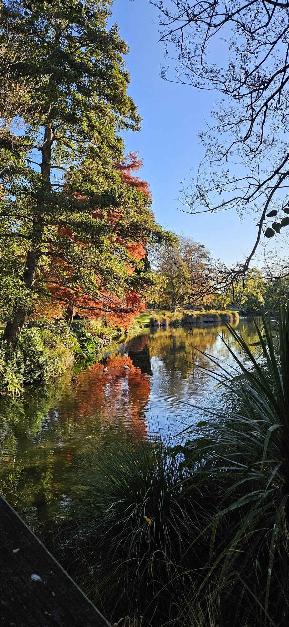 Fantastic Fall Fun 14.jpg