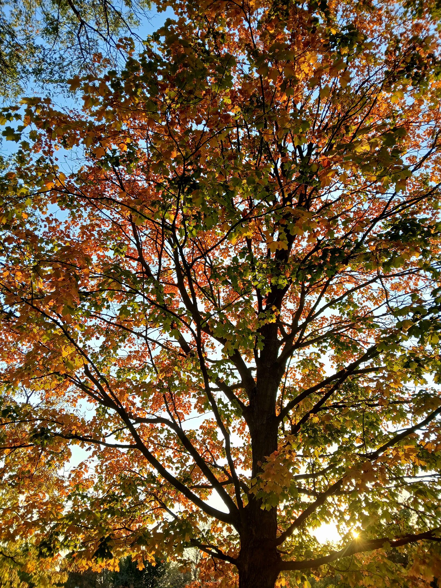 Fantastic Fall Fun 16.jpg