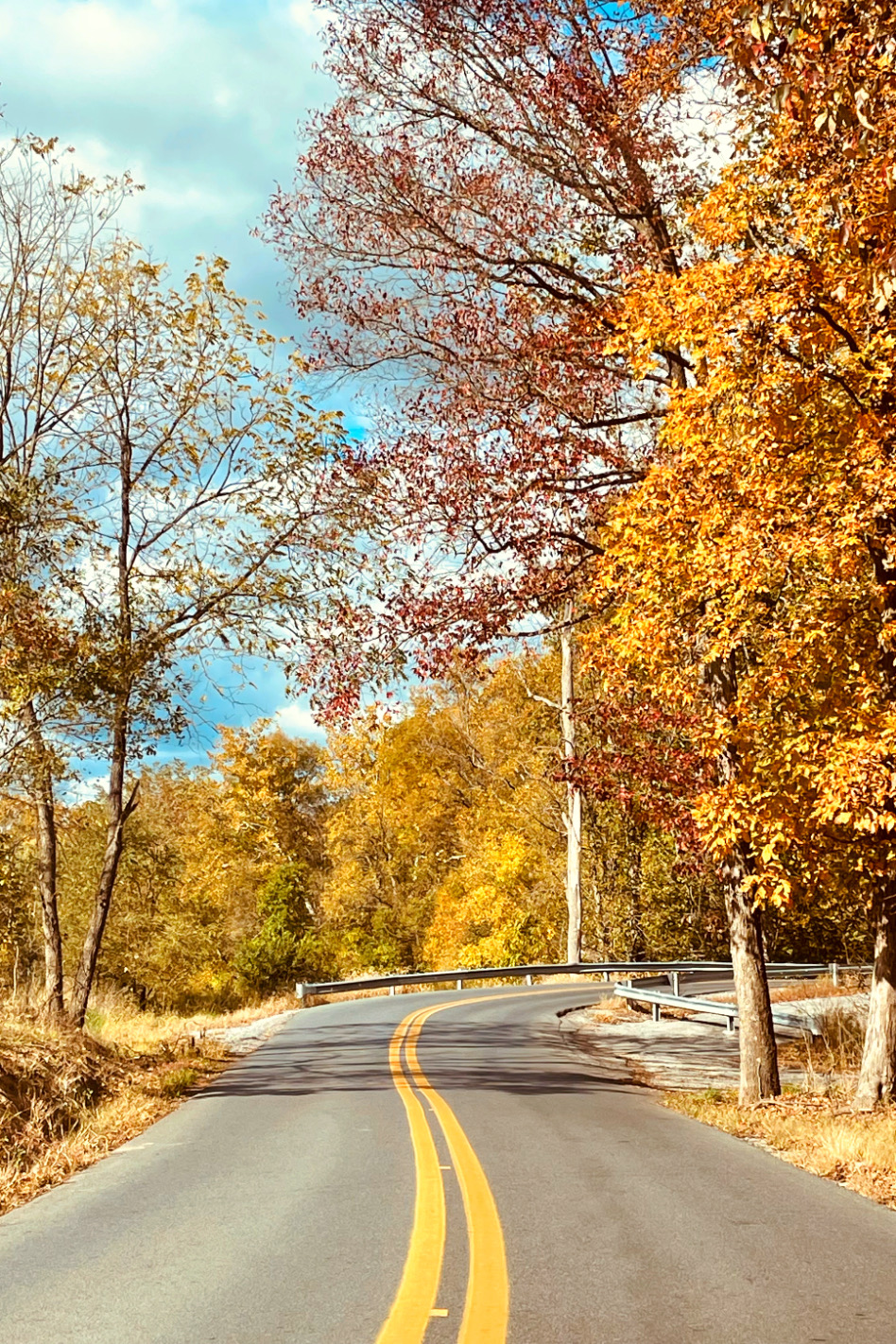 Fantastic Fall Fun 19.jpg