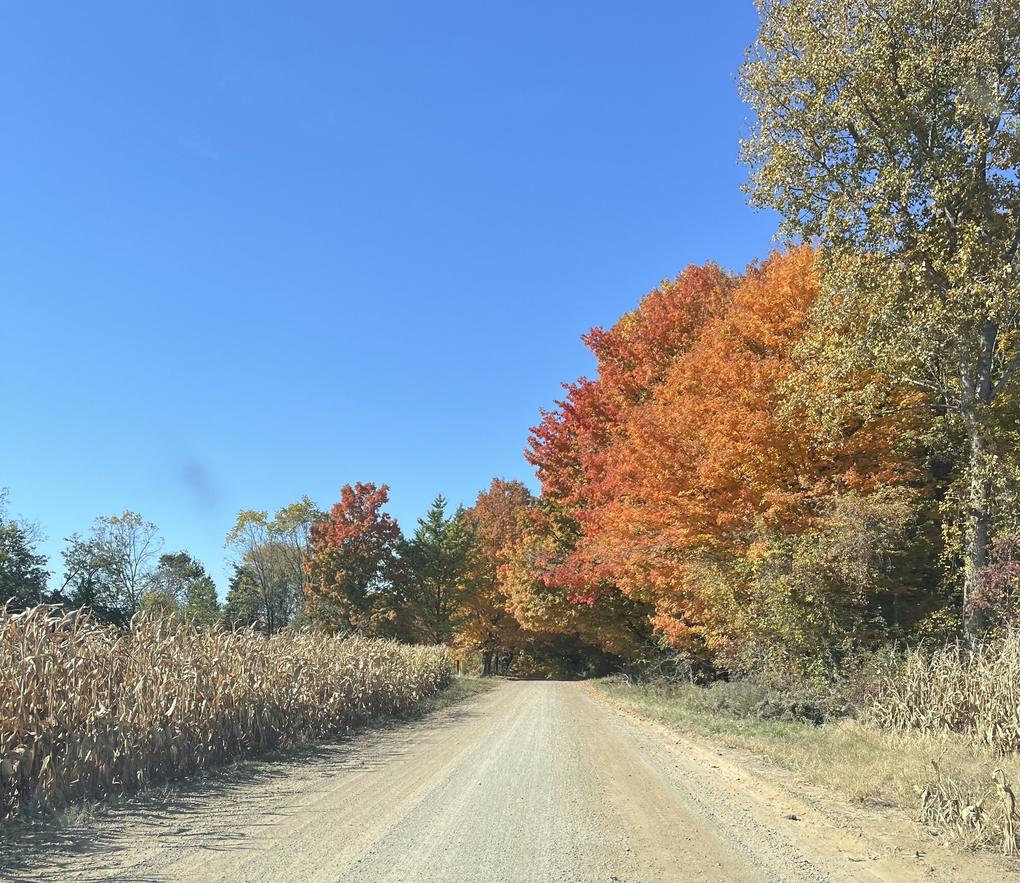 Fantastic Fall Fun 20.jpg