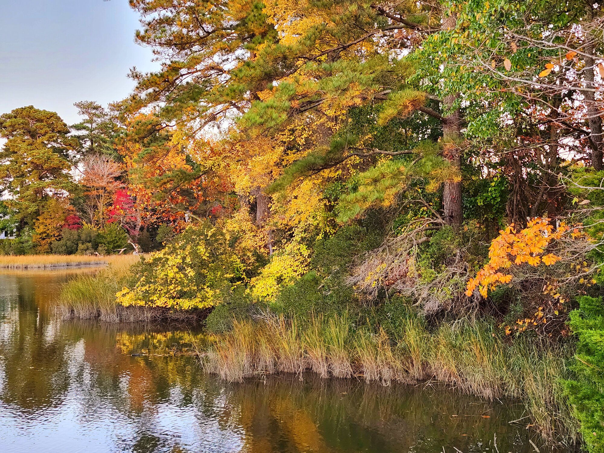 Fantastic Fall Fun 22.jpg