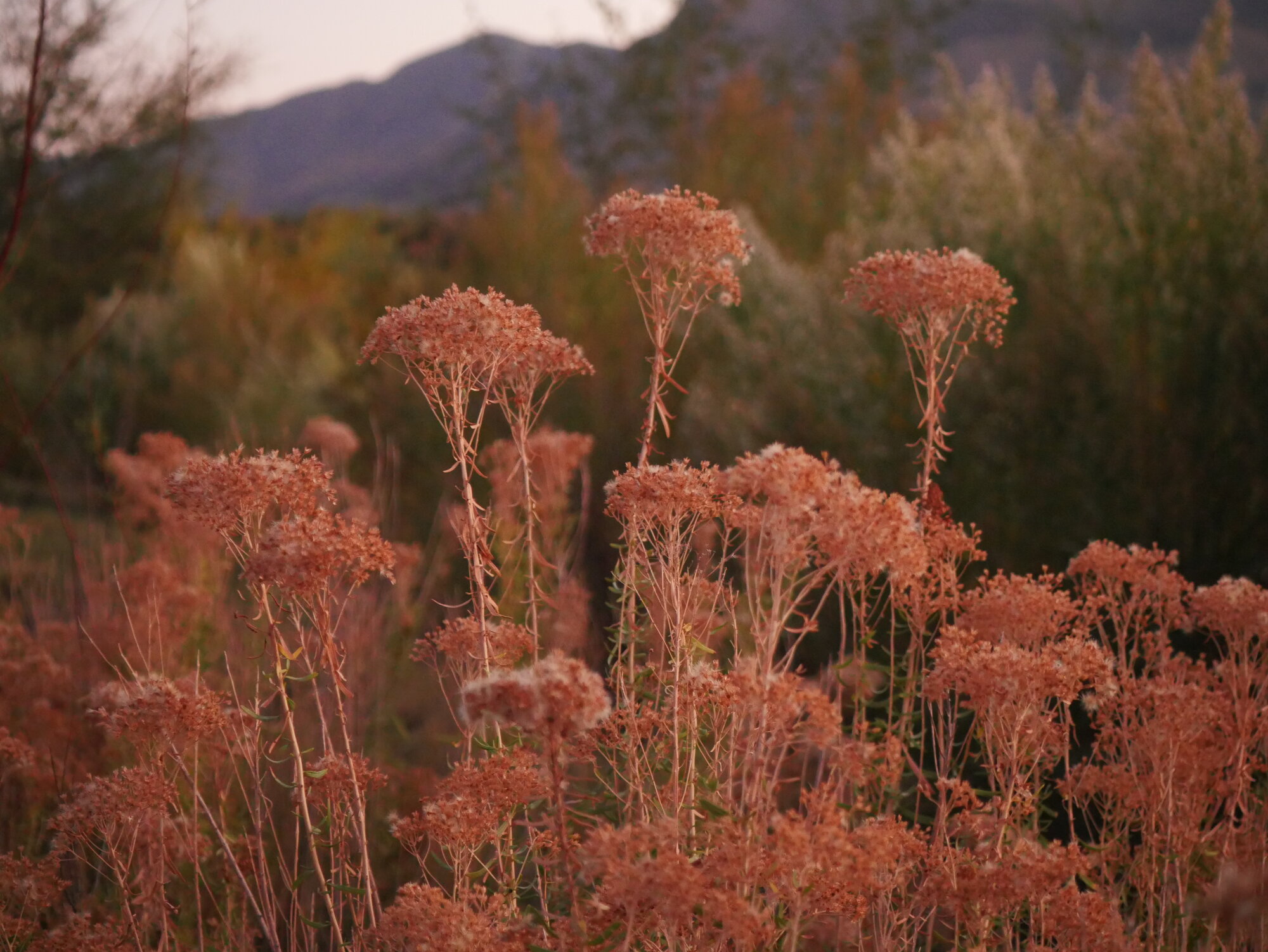 Fantastic Fall Fun 24.jpg