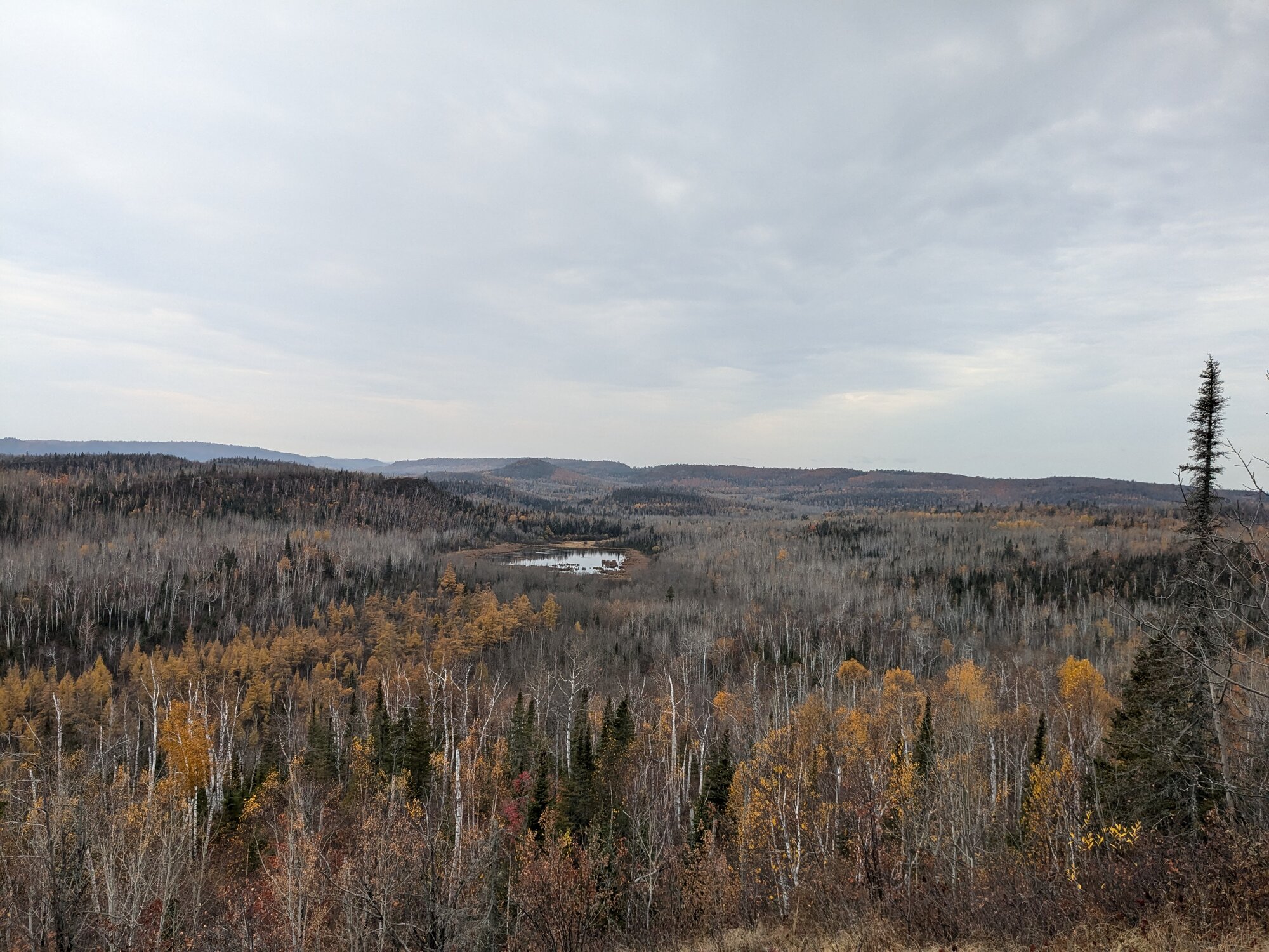 Fantastic Fall Fun 30.jpg