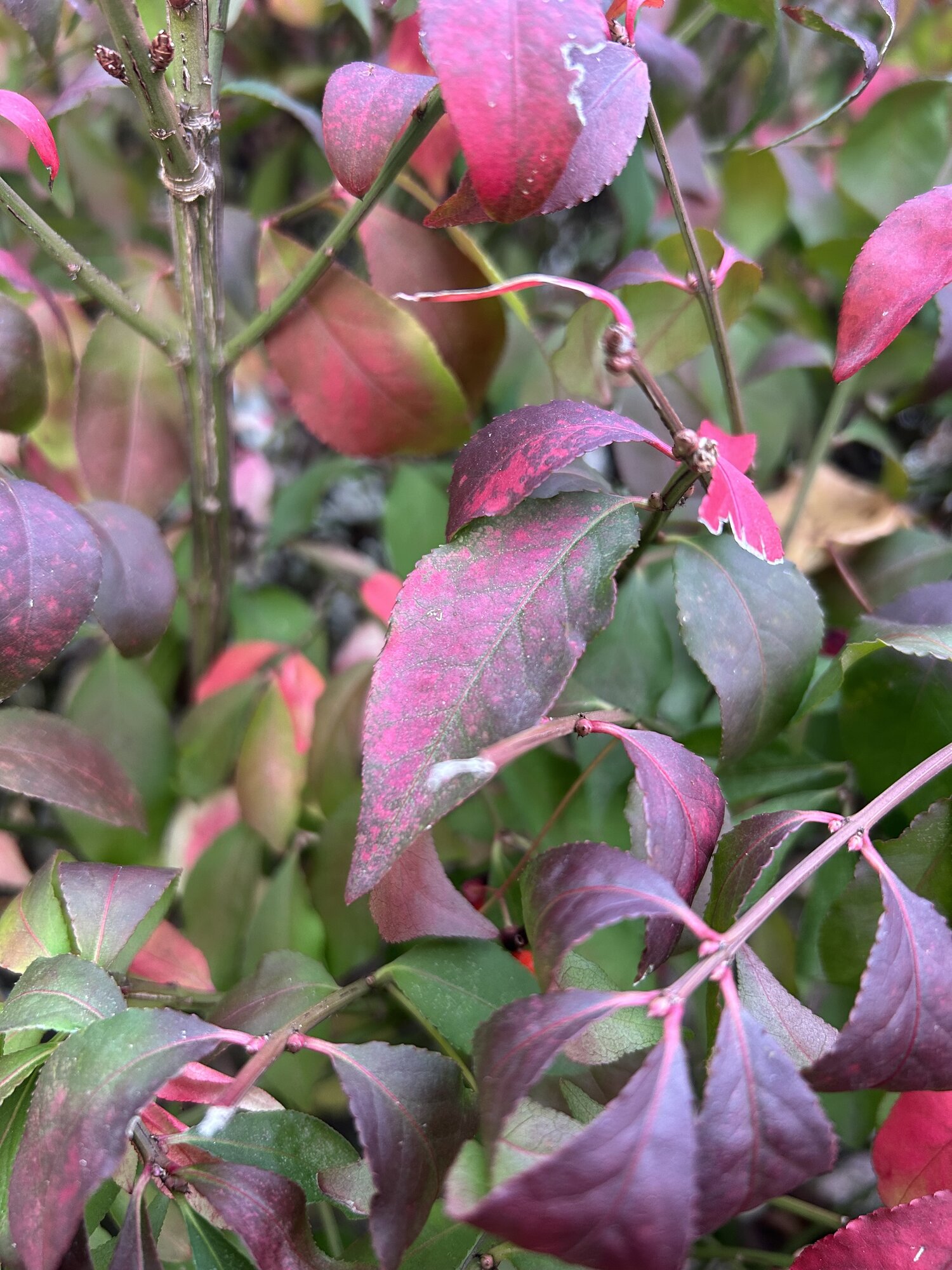 Fantastic Fall Fun 31.jpg