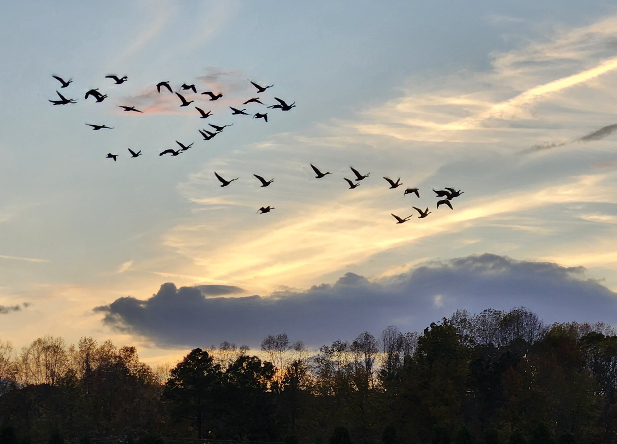 Fantastic Fall Fun 35.jpg