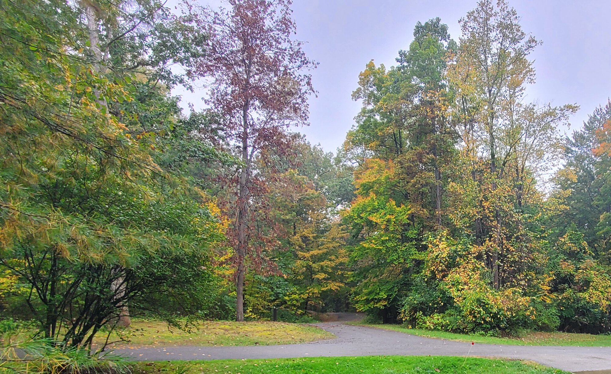 Fantastic Fall Fun 39.jpg