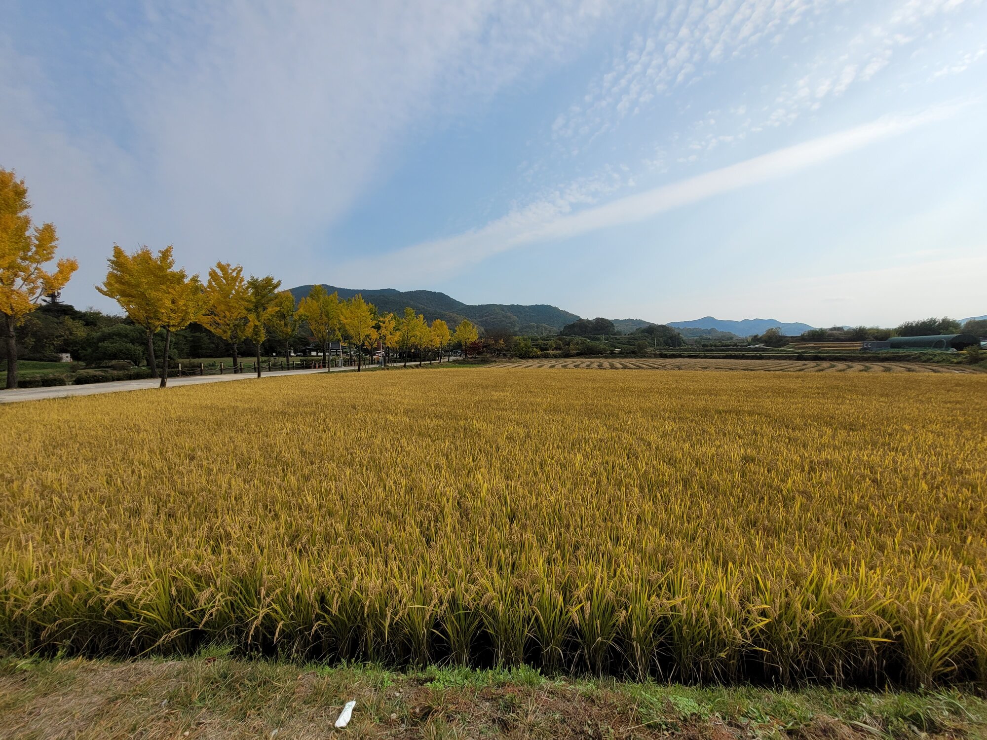 Fantastic Fall Fun 44.jpg