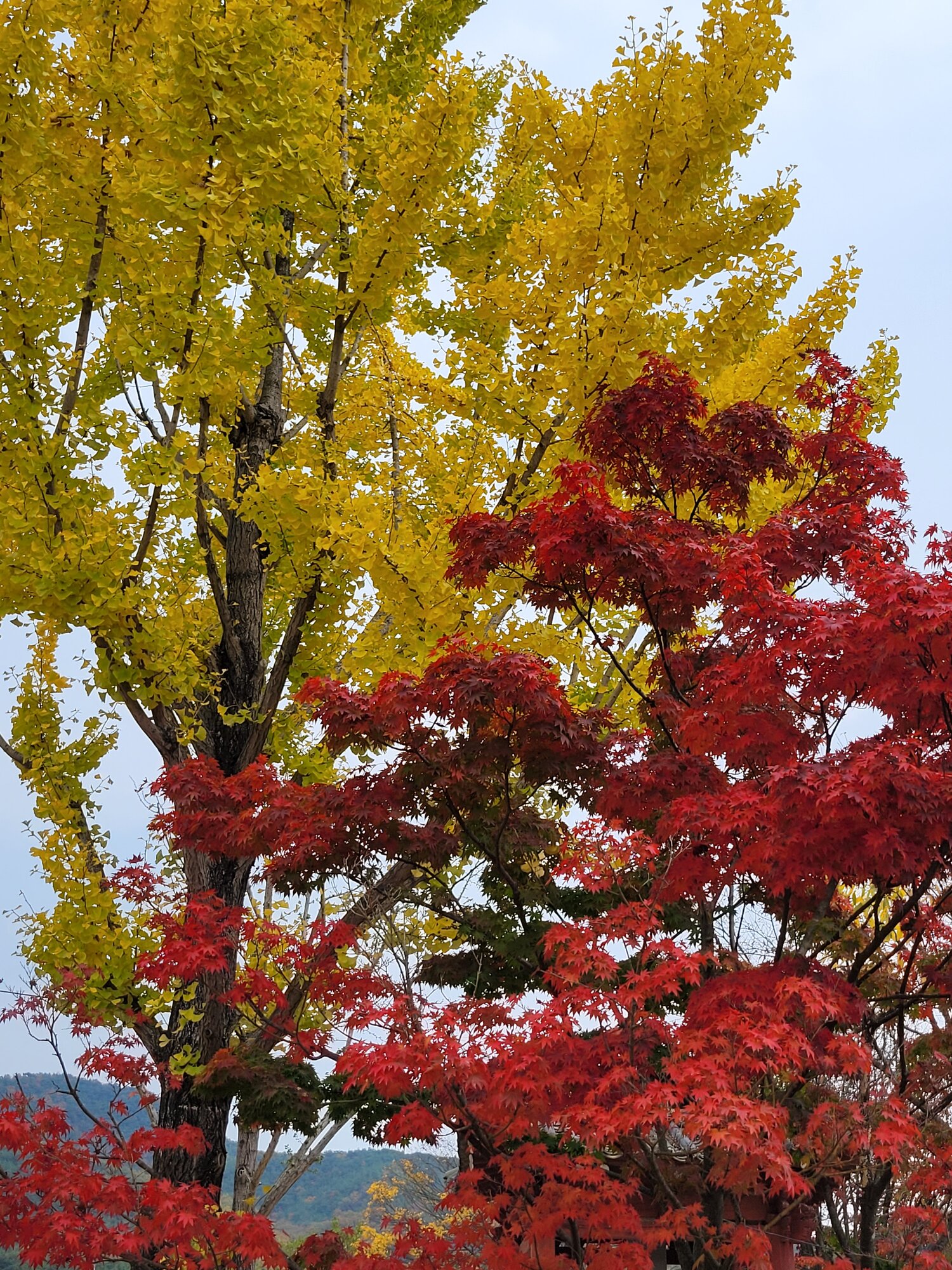 Fantastic Fall Fun 46.jpg