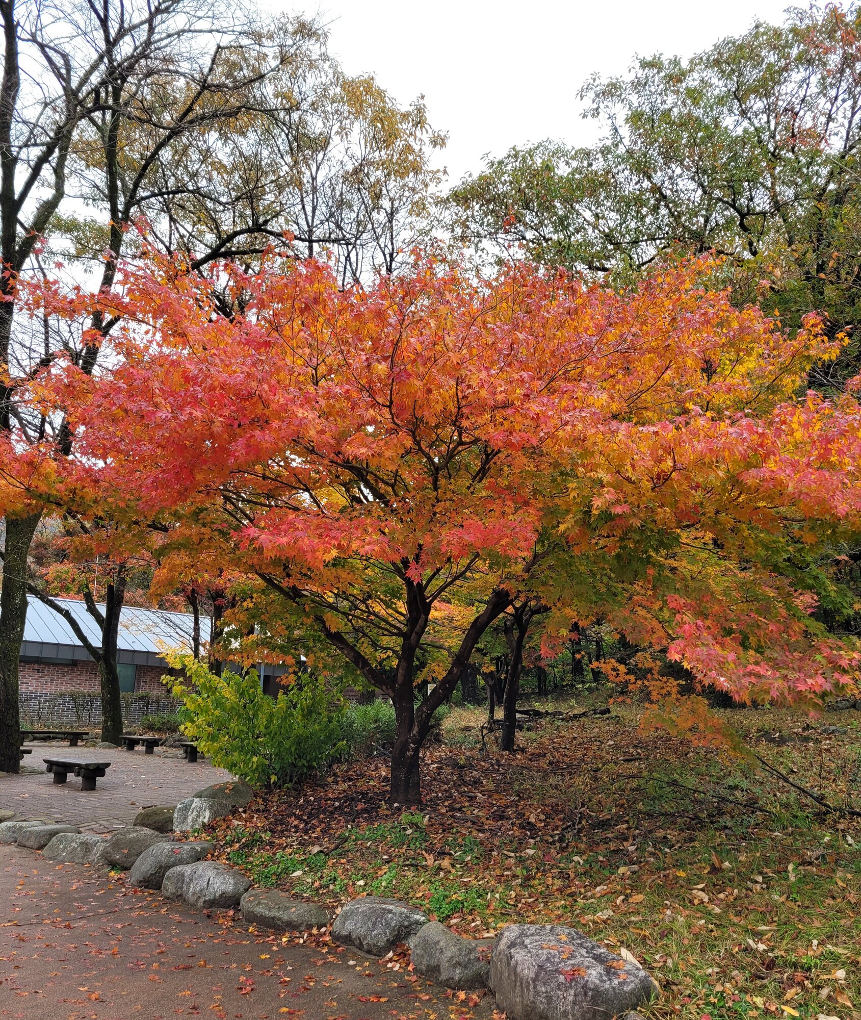 Fantastic Fall Fun 47.jpg