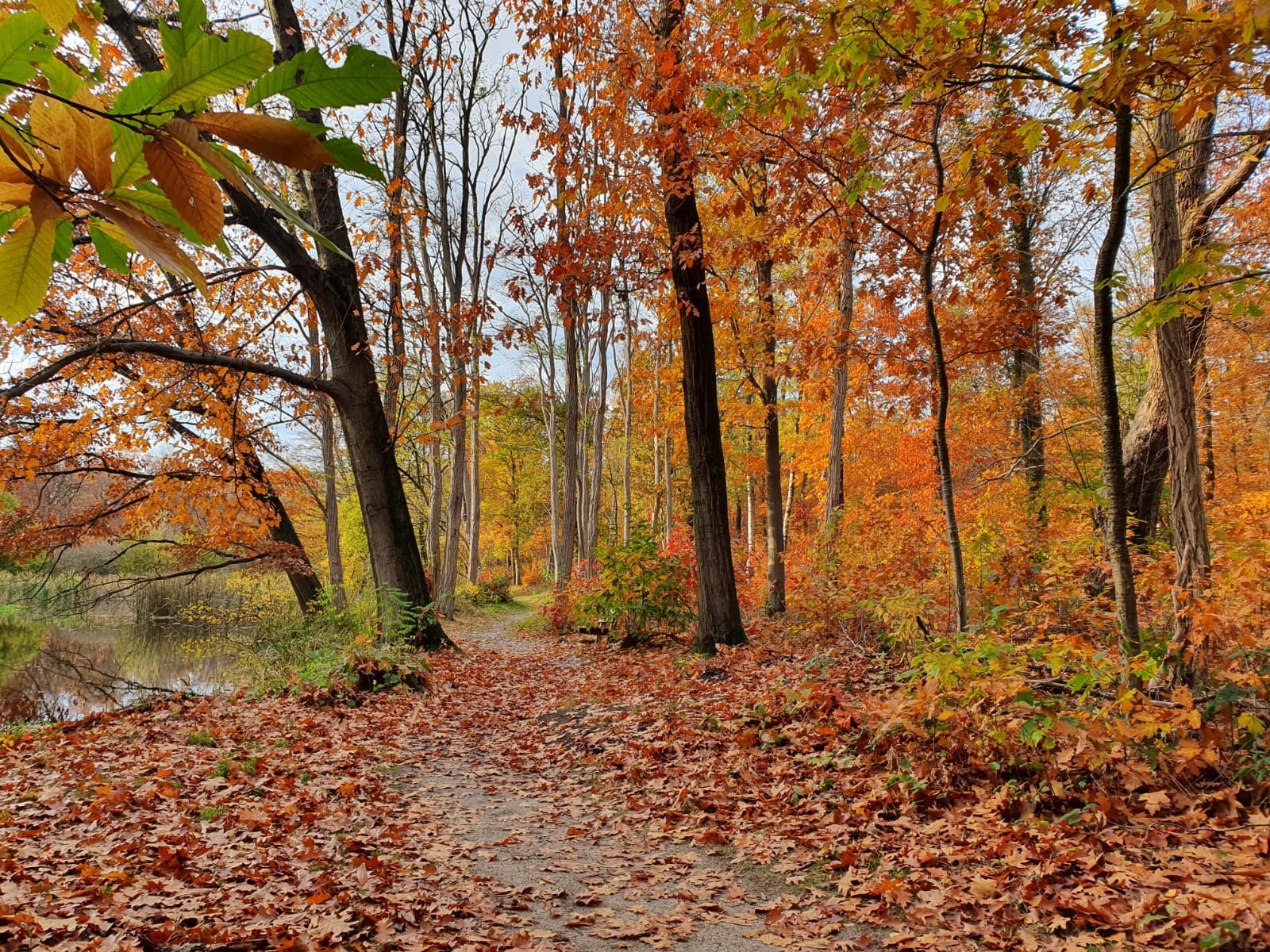 Fantastic Fall Fun 49.jpg