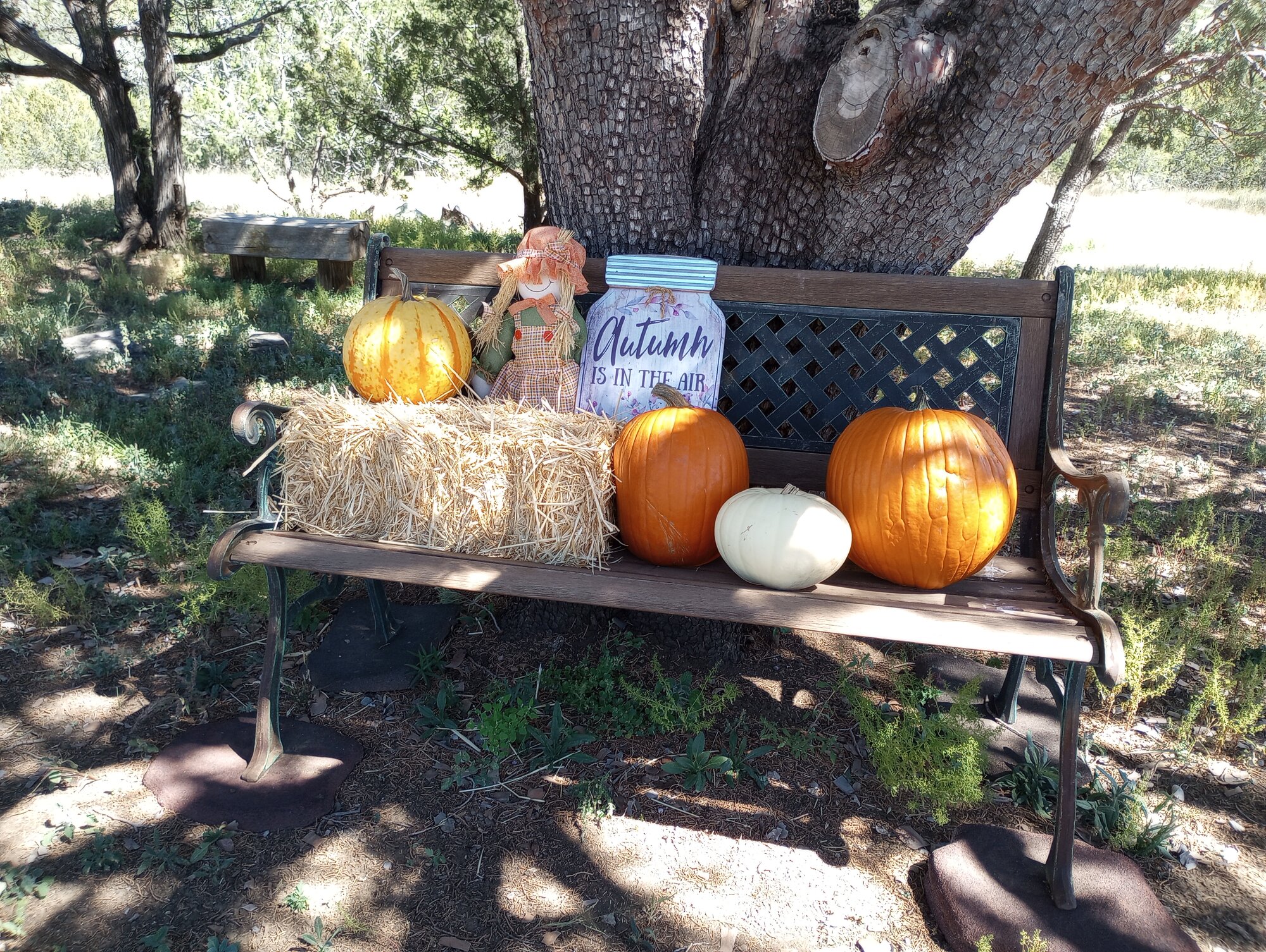 Fantastic Fall Fun 5.jpg