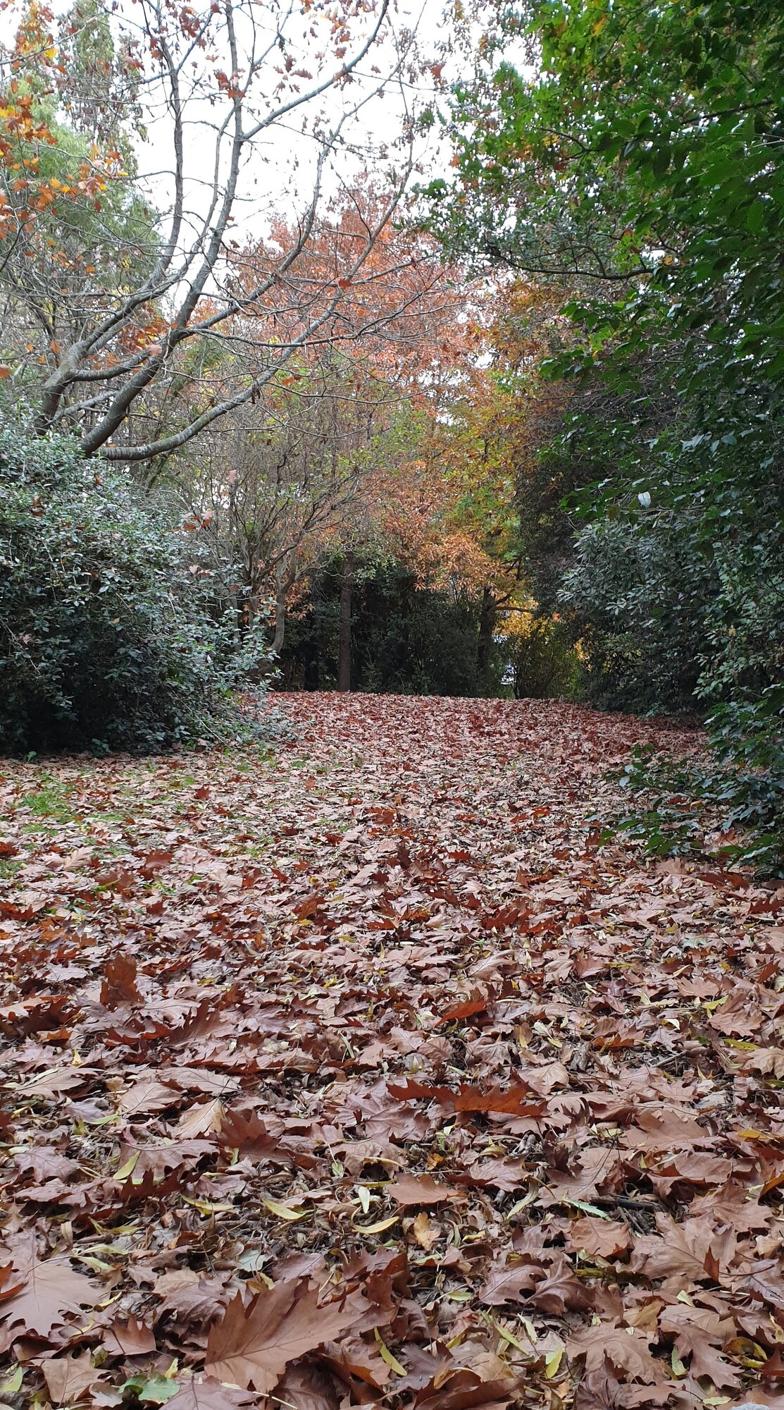 Fantastic Fall Fun 50.jpg