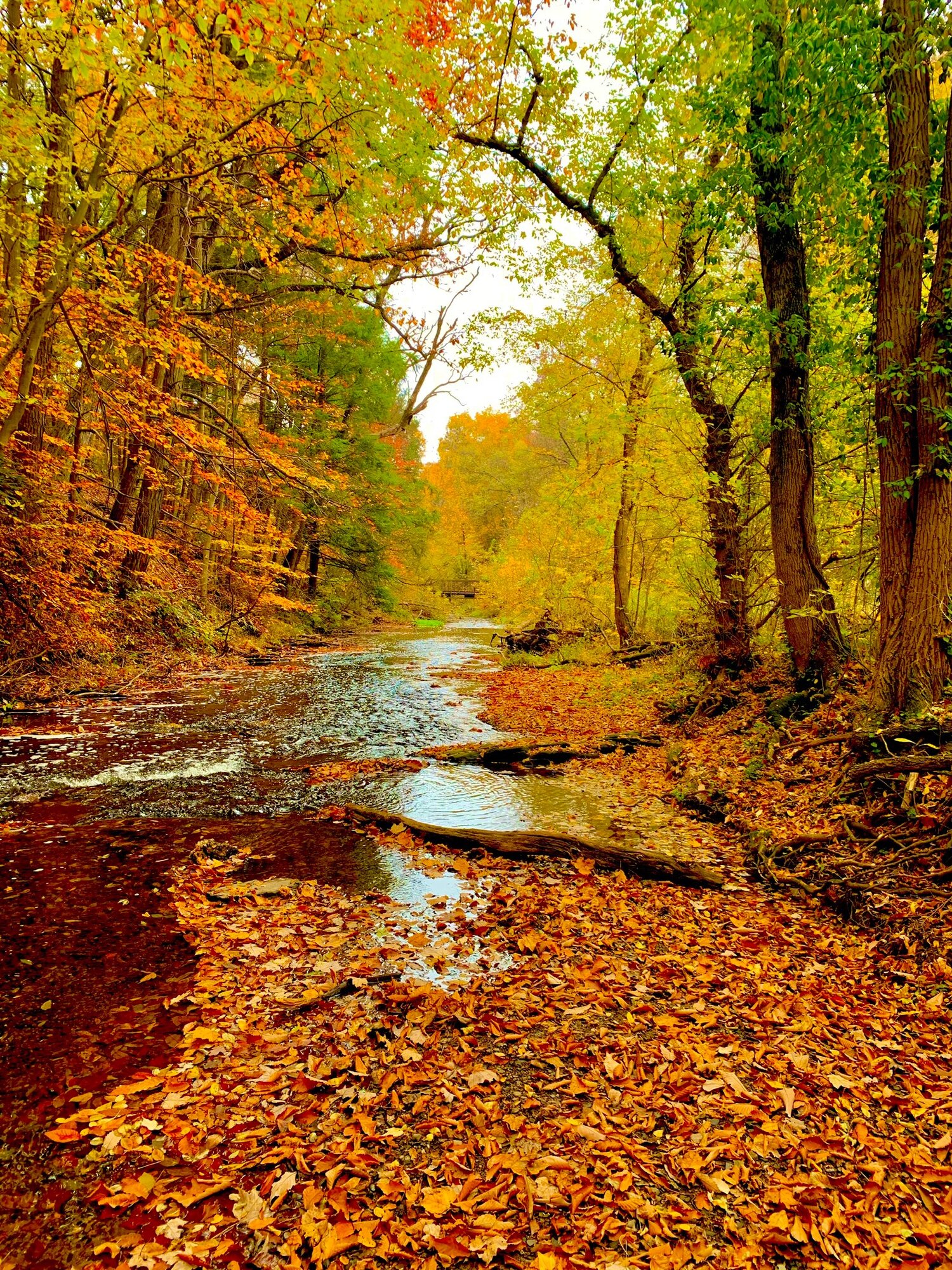 Fantastic Fall Fun 6.jpg