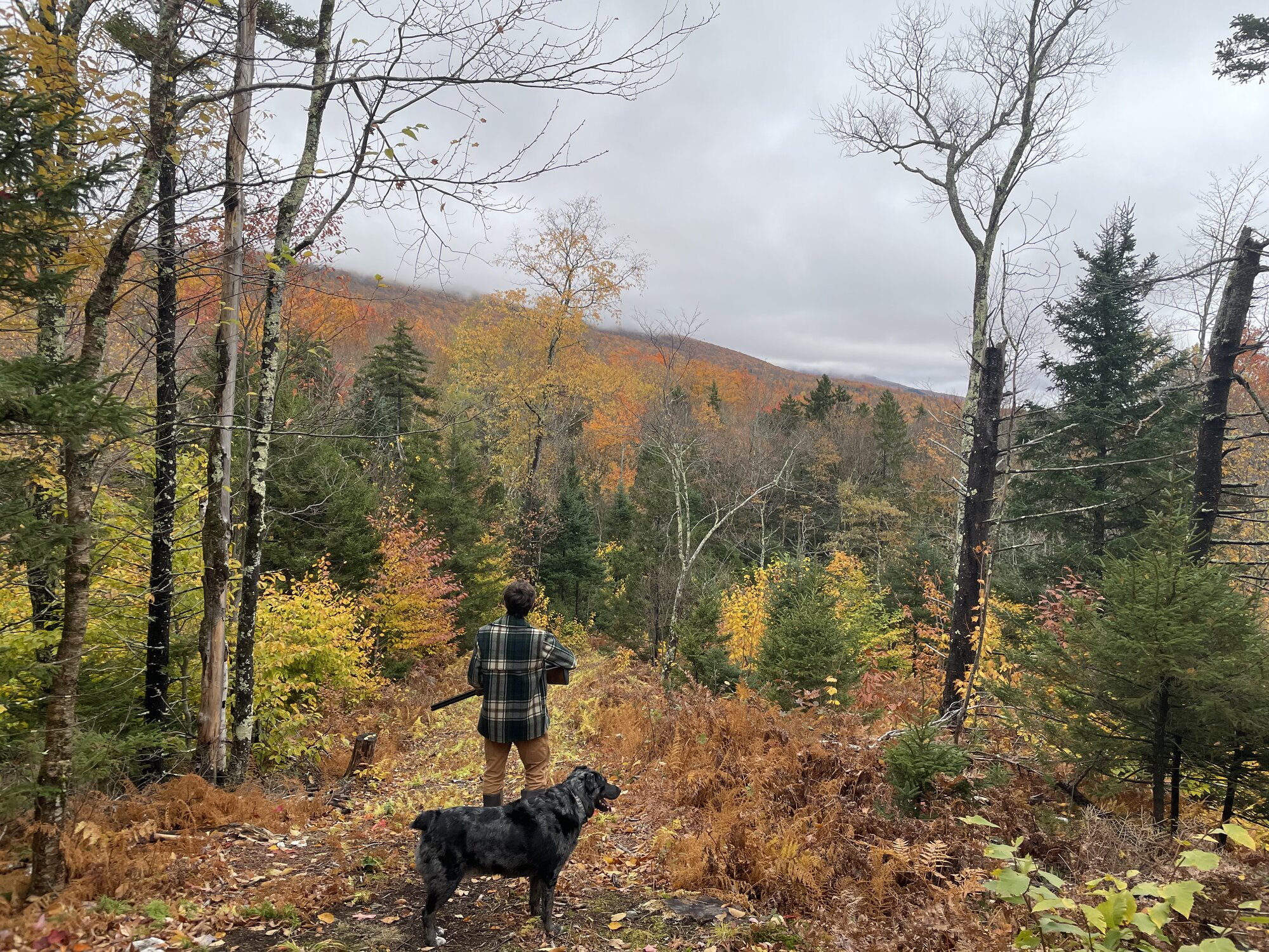 Fantastic Fall Fun 7.jpg