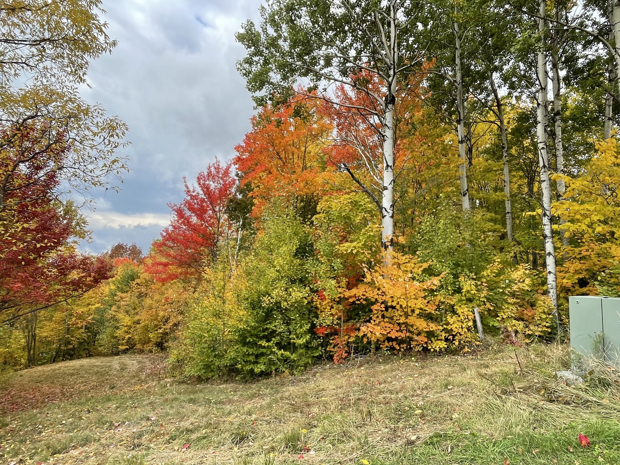 Fantastic Fall Fun 8.jpg