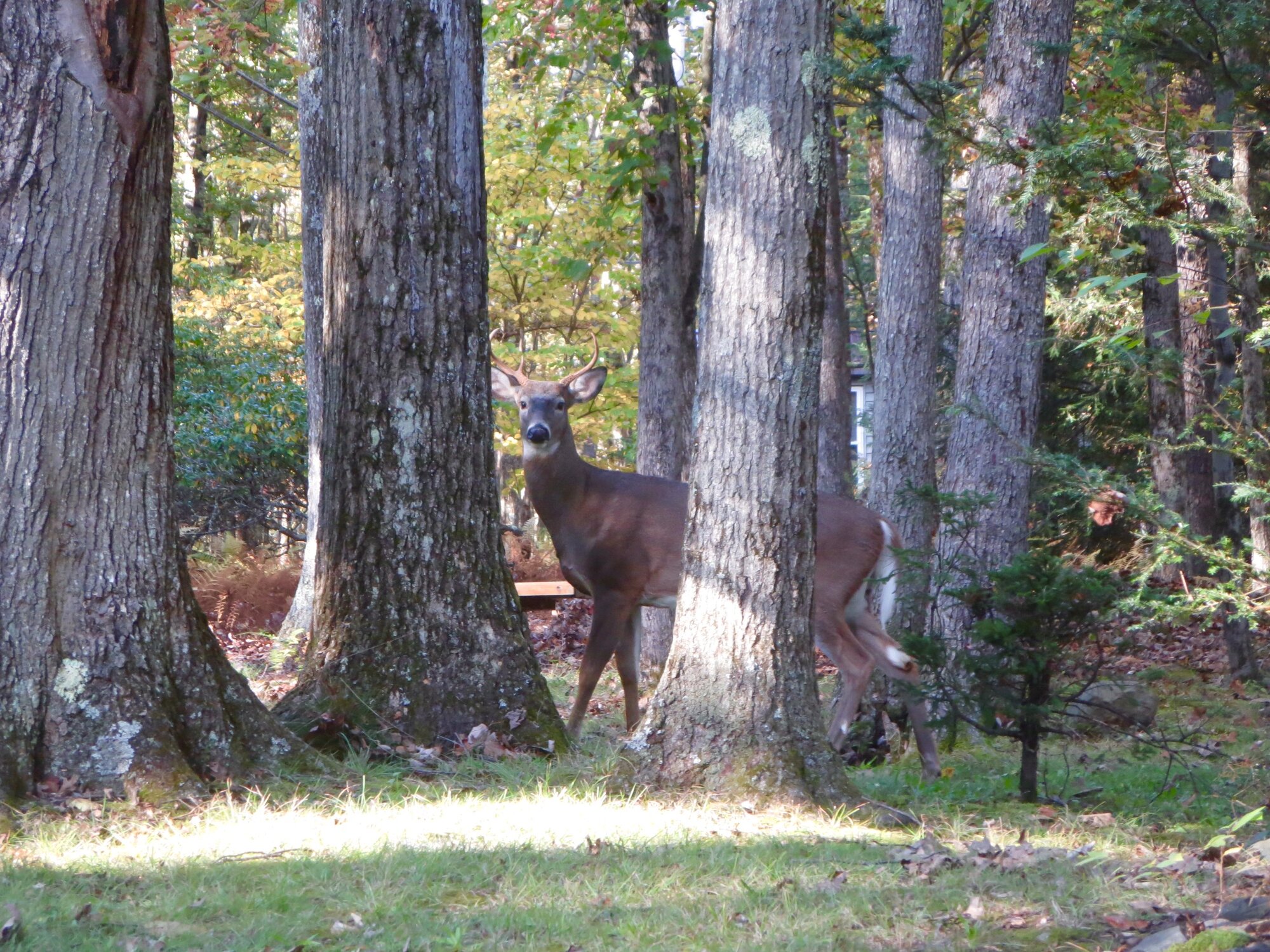 Fantastic Fall Fun 9.jpg