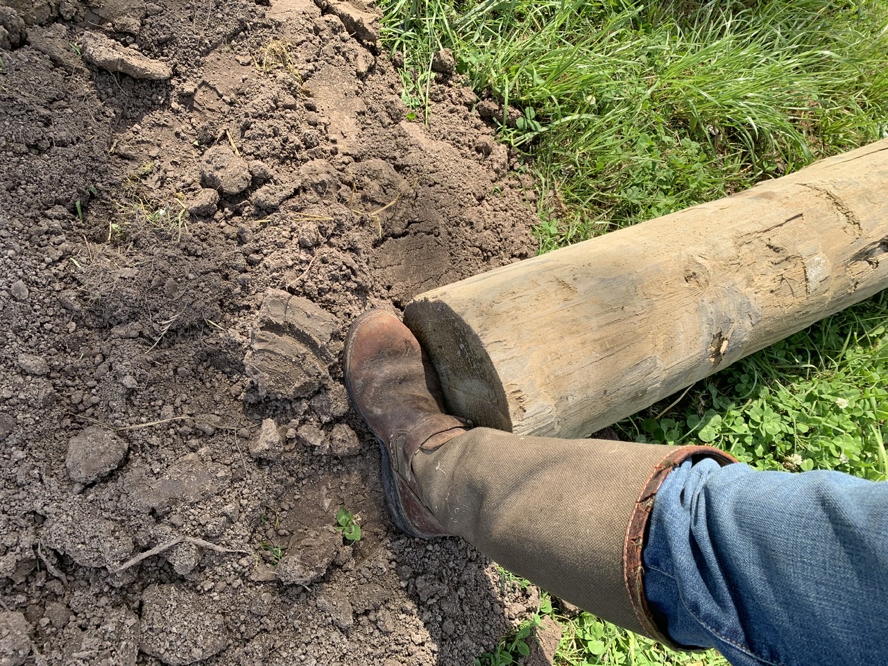 FBB16BB0-E779-47DF-8FCD-EA76D671BFB7