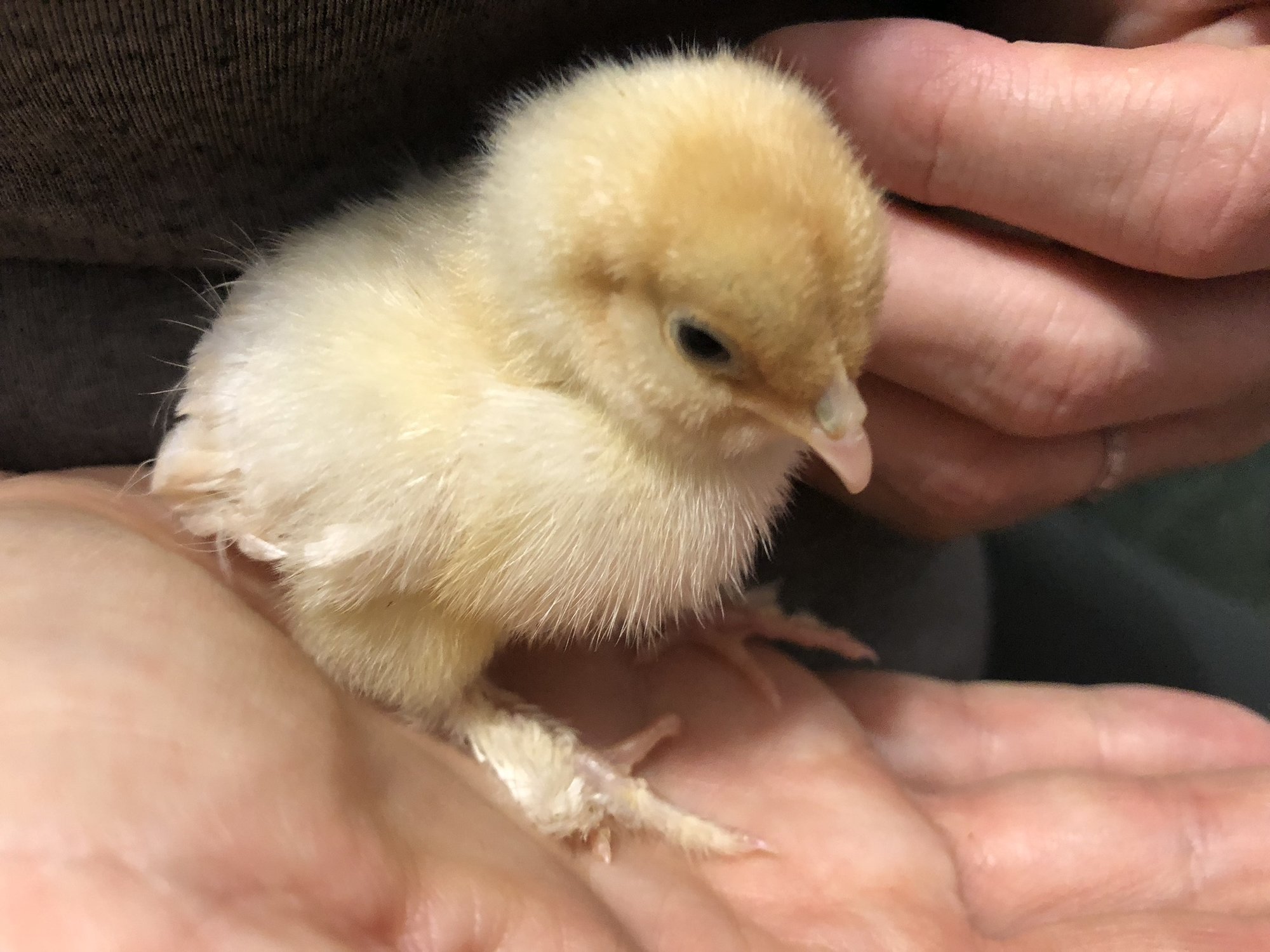 FDE0F401-8F90-43B3-B88D-BA347A13C6A3