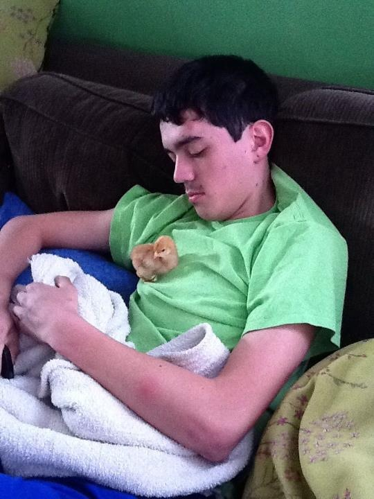 february 11 , the first day at home.