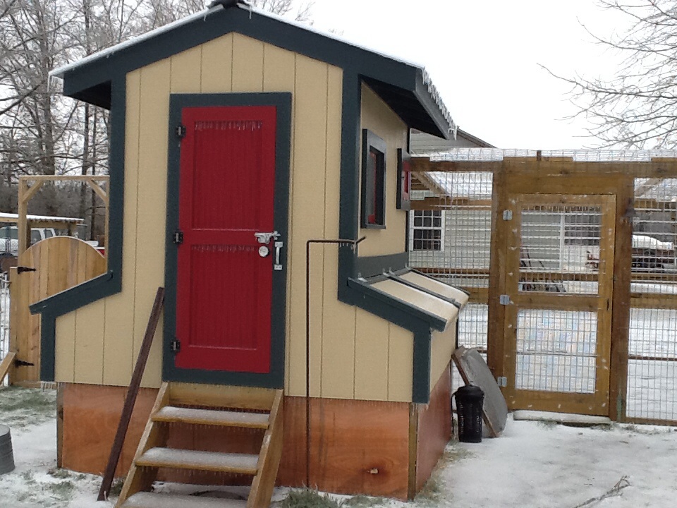 February 2015 Ice on the main coop