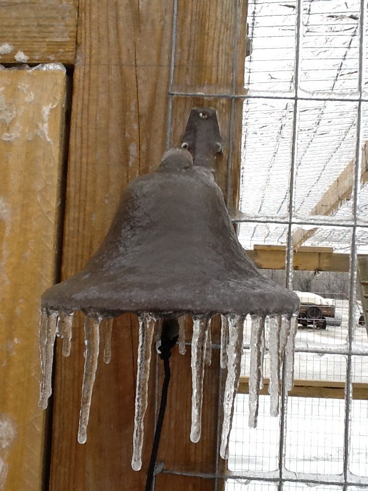 February 2015.  The chicken bell.