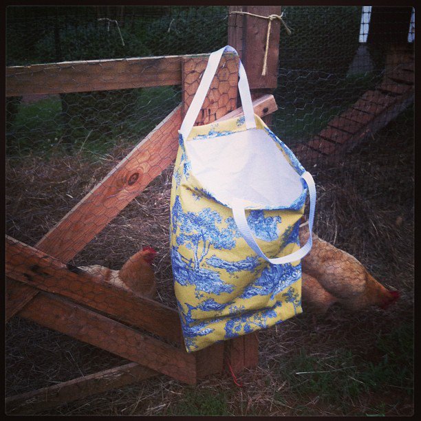 Feed bag lined bag $15 (this is fabric on the outside and lined with a white feed bag for easy cleaning